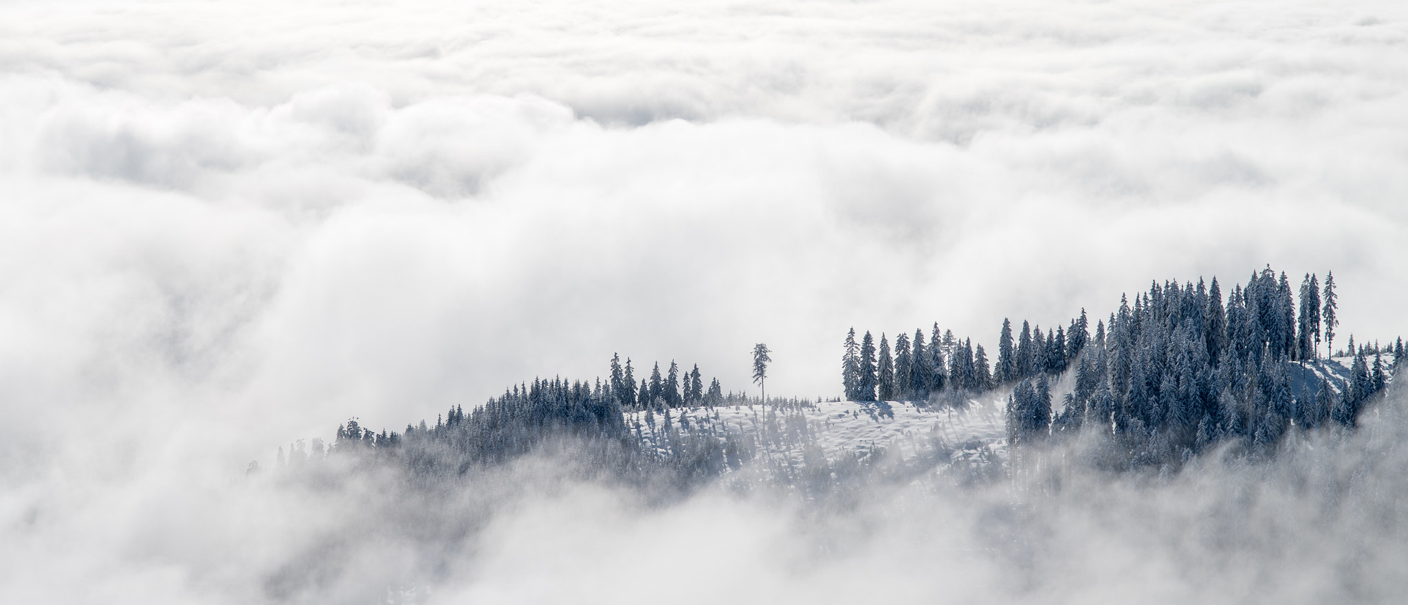 Nikon D500 sample photo. Winter experience photography