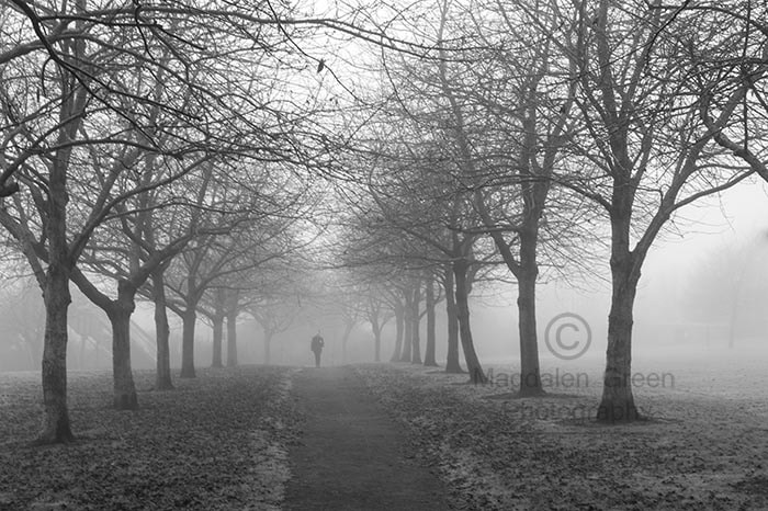 Nikon D700 sample photo. Gaunt figure in the mist - eerie black and white view - dundee s photography