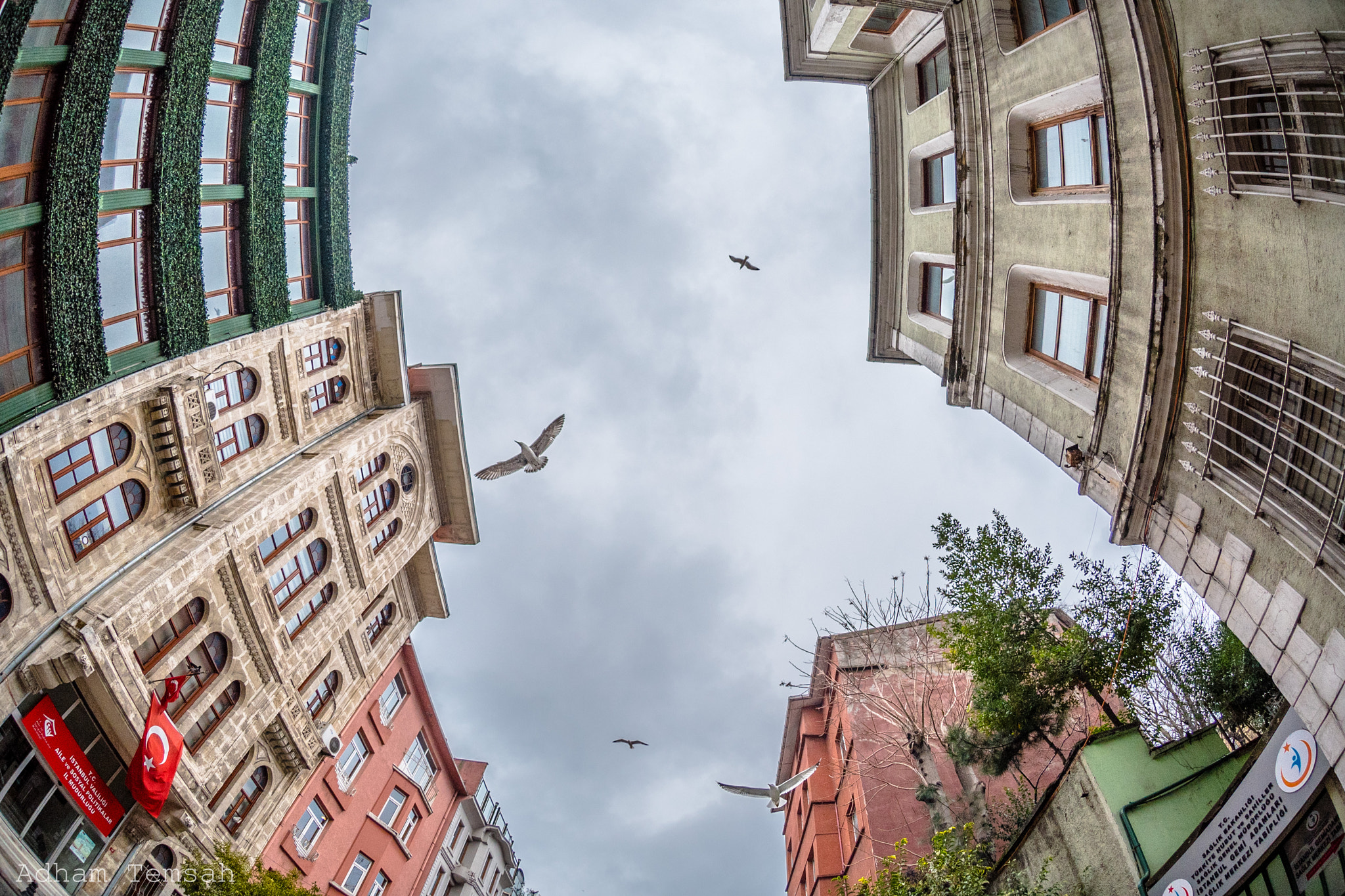 Nikon AF DX Fisheye-Nikkor 10.5mm F2.8G ED sample photo. Look up. photography