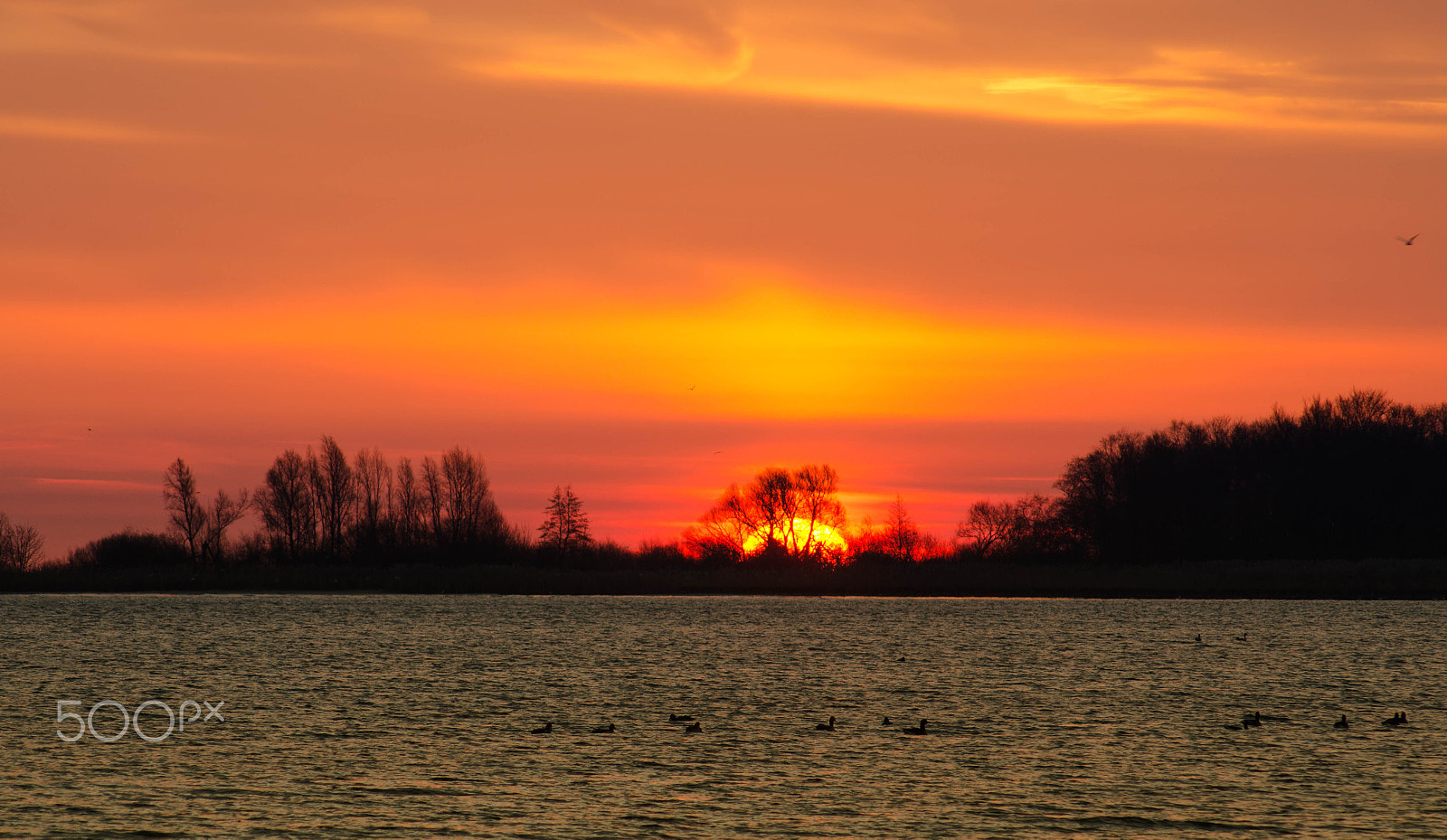 Nikon D7000 + AF Nikkor 70-210mm f/4-5.6 sample photo. Sunrise ijsselmeer coast near enkhuizen photography