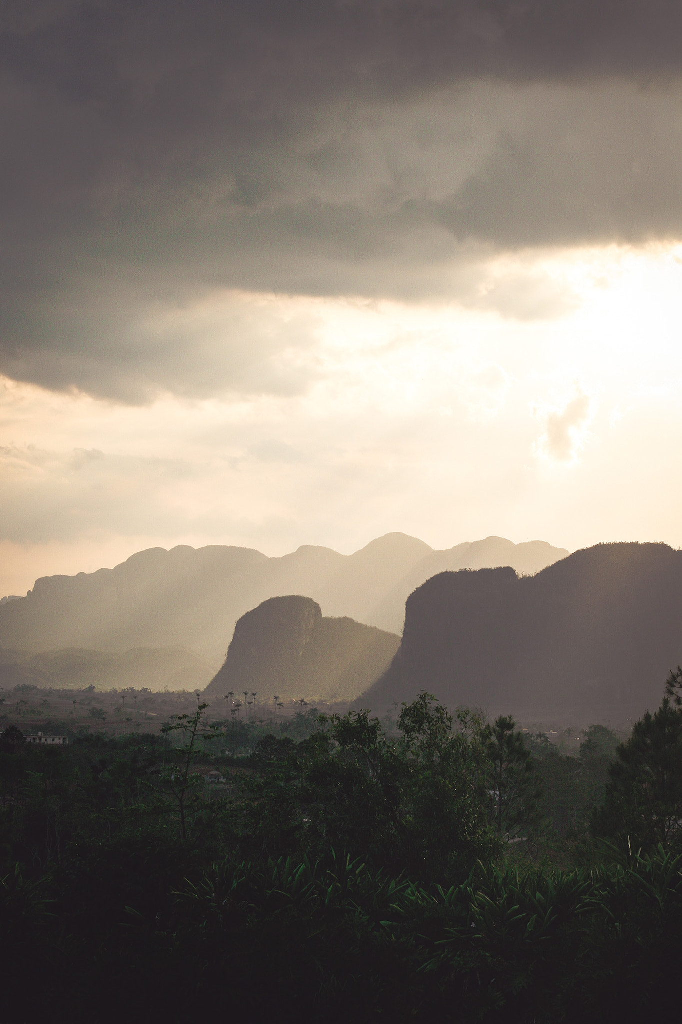 Sigma 55-200mm f/4-5.6 DC sample photo. After the storm photography