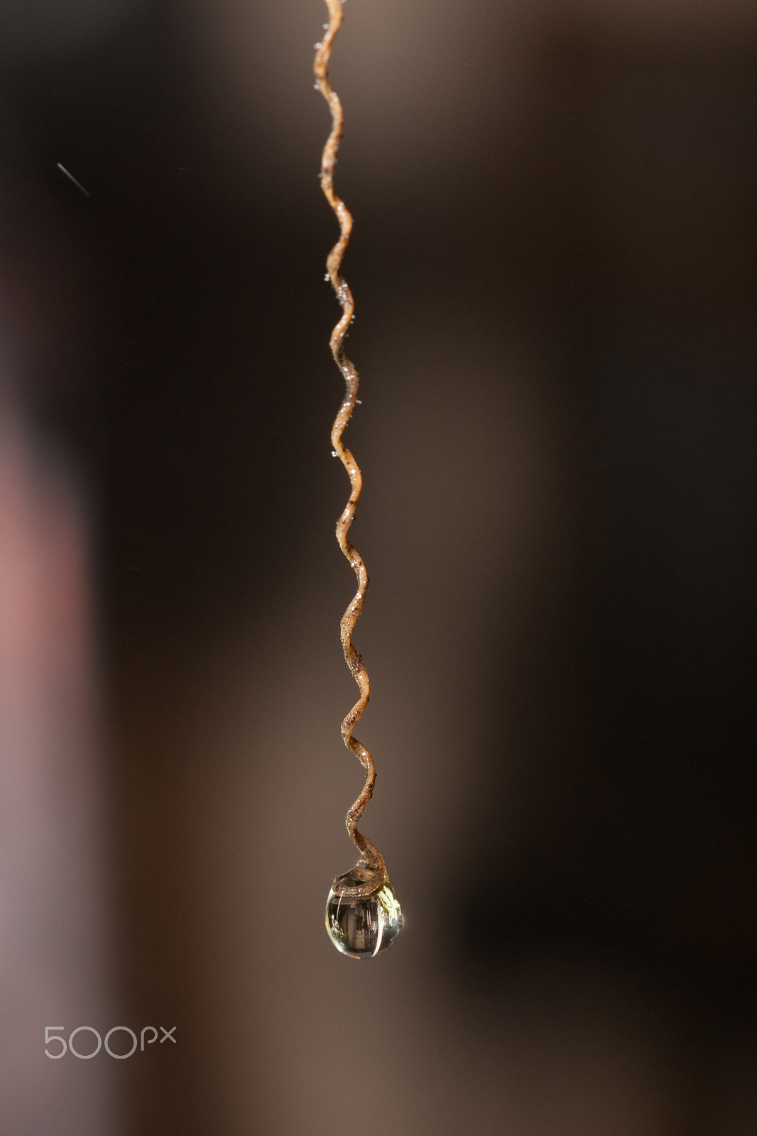 Canon EOS-1D Mark III sample photo. Drop photography