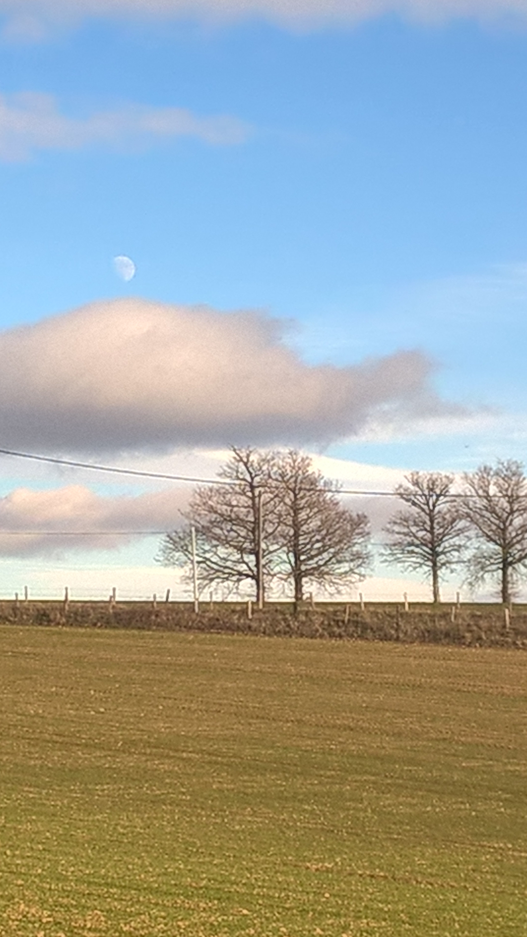 Nokia Lumia 830 sample photo