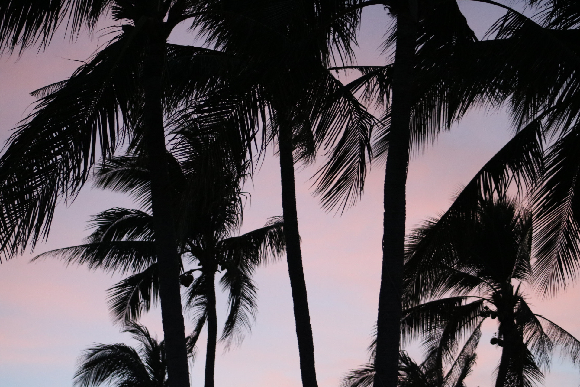 Canon EOS 750D (EOS Rebel T6i / EOS Kiss X8i) + EF75-300mm f/4-5.6 sample photo. Sunset  photography