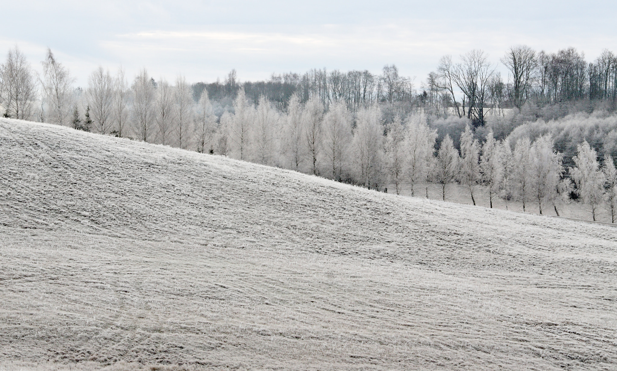 Canon EOS 450D (EOS Rebel XSi / EOS Kiss X2) sample photo. Winters landscape photography