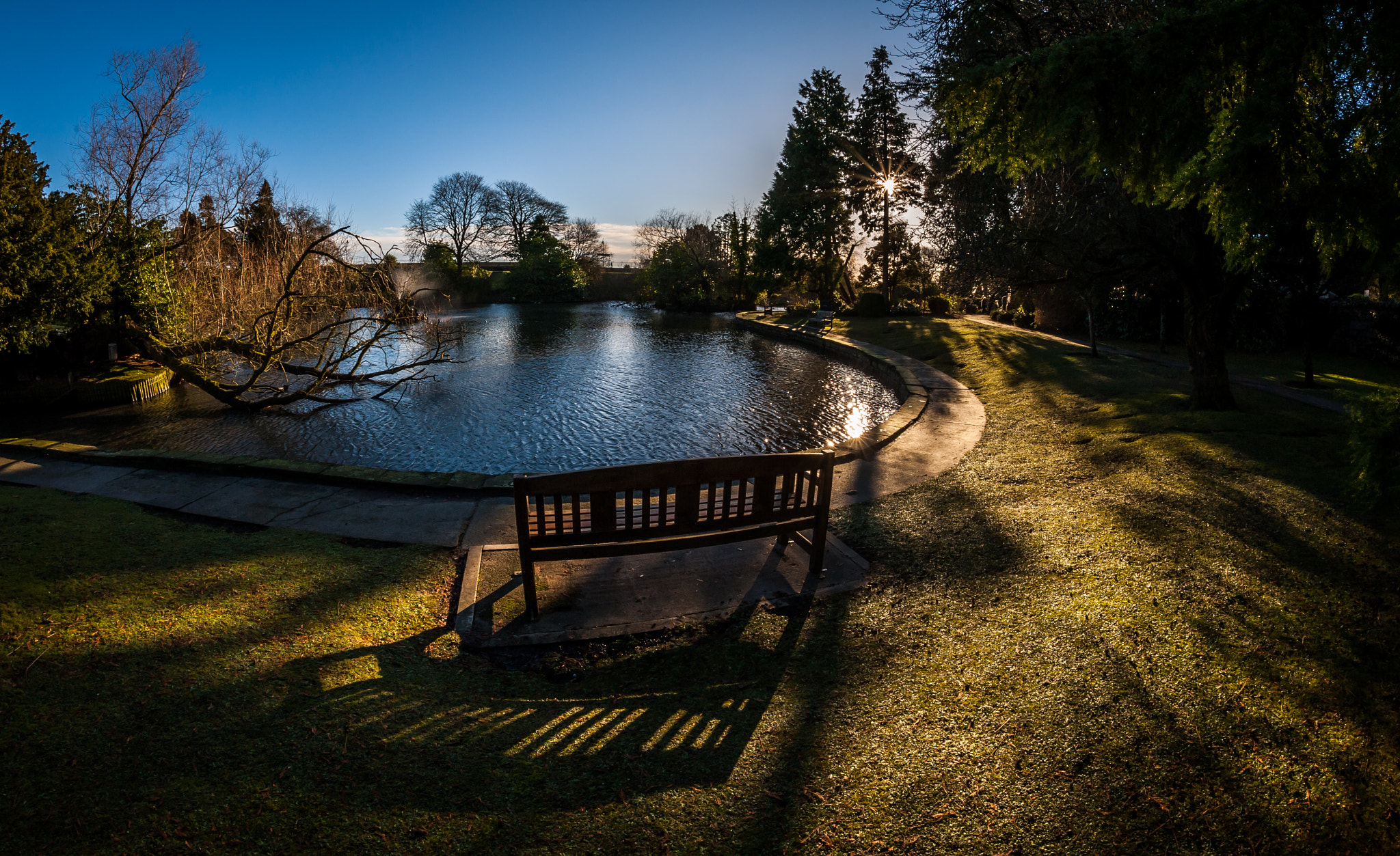 Nikon D700 sample photo. Prime seat at the pond photography