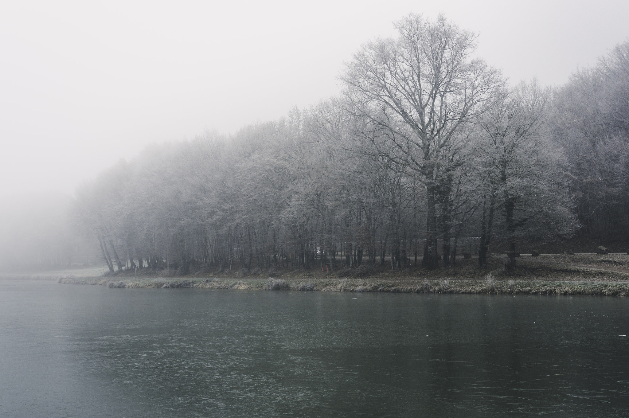 Sony Alpha NEX-5R sample photo. Winter fog photography