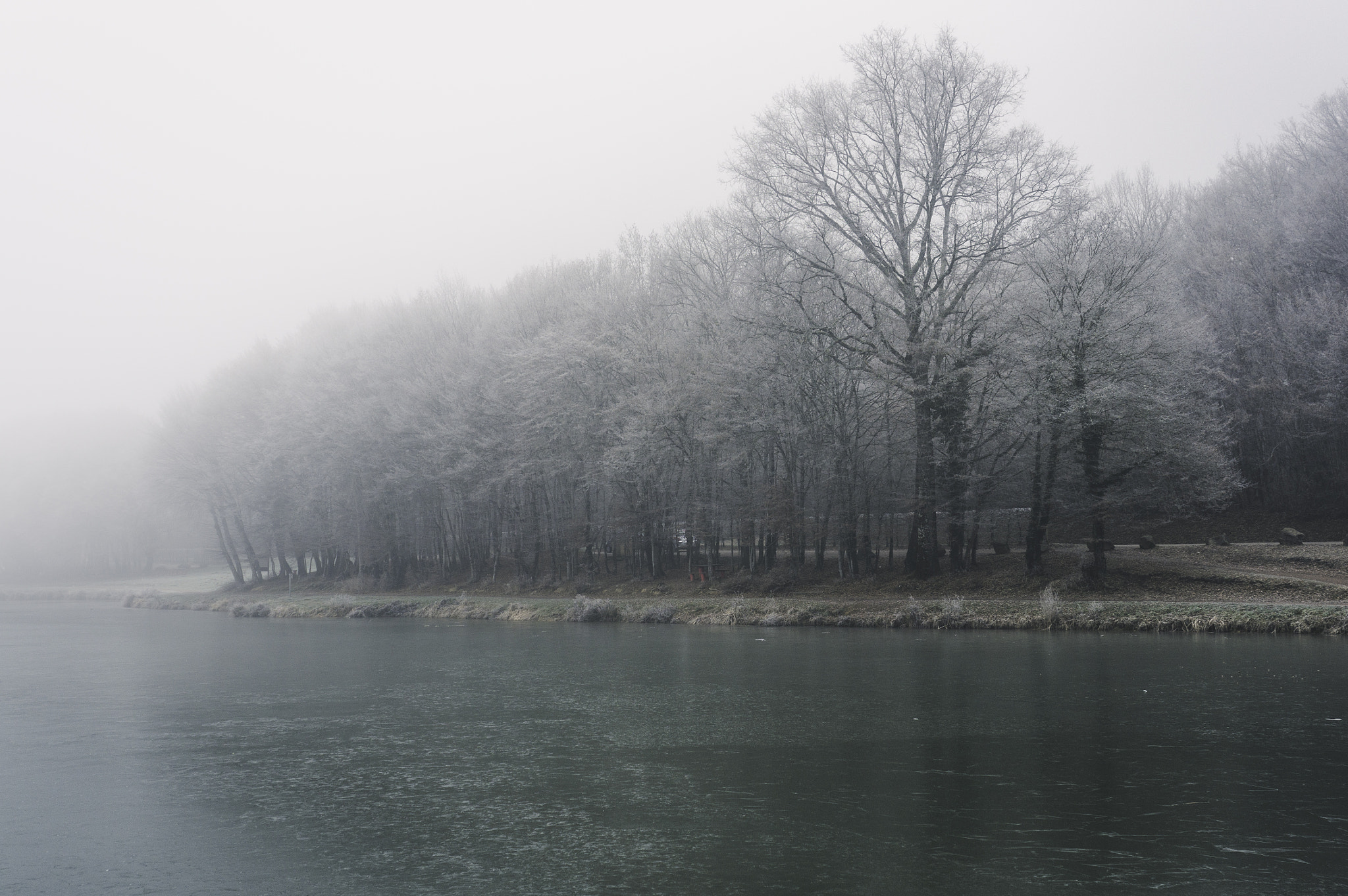 Sony Alpha NEX-5R + Sony E 18-55mm F3.5-5.6 OSS sample photo. Winter fog photography