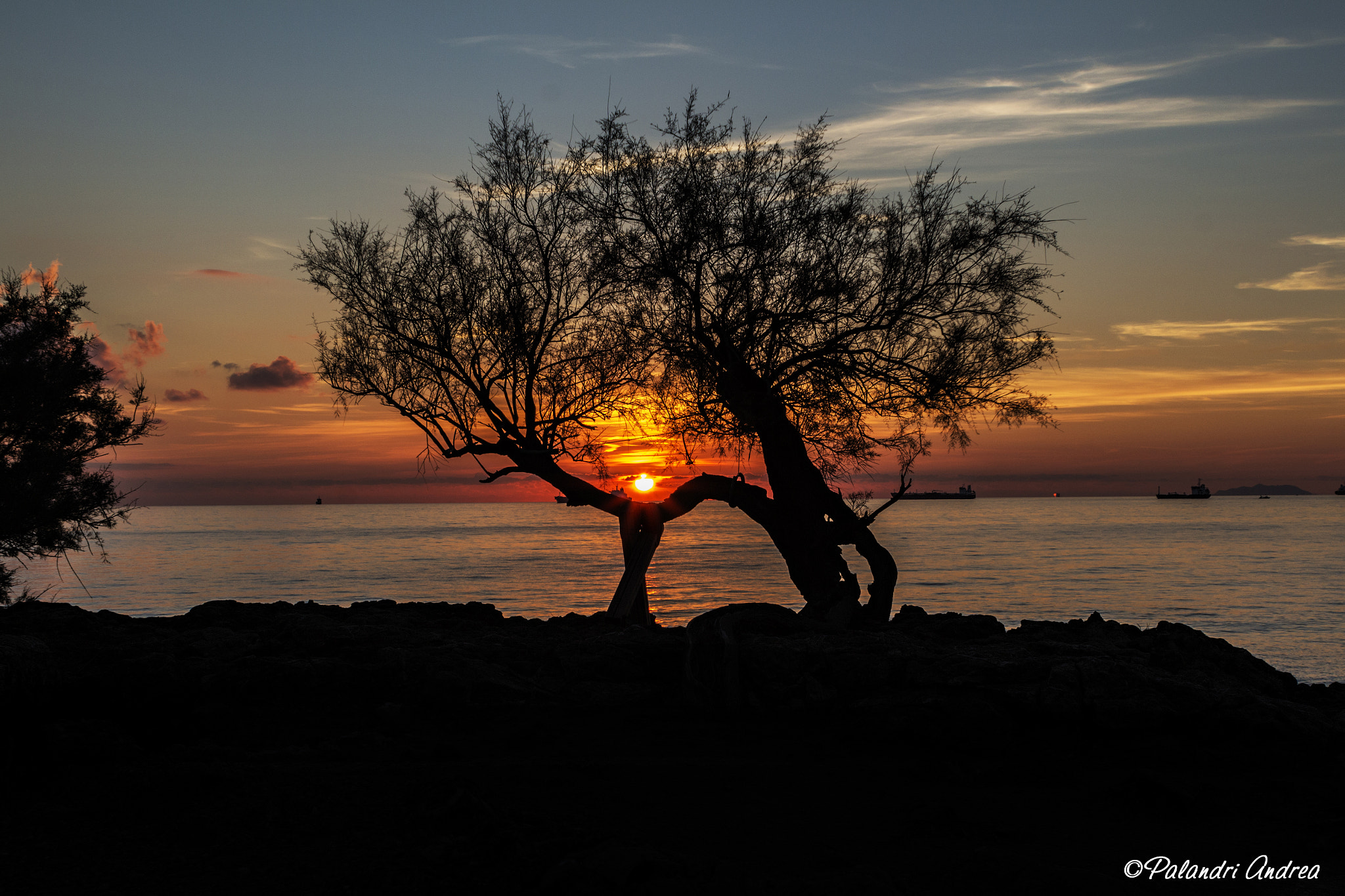 Canon EOS 650D (EOS Rebel T4i / EOS Kiss X6i) + Canon EF 28mm F2.8 sample photo. Tamerice solitaria photography