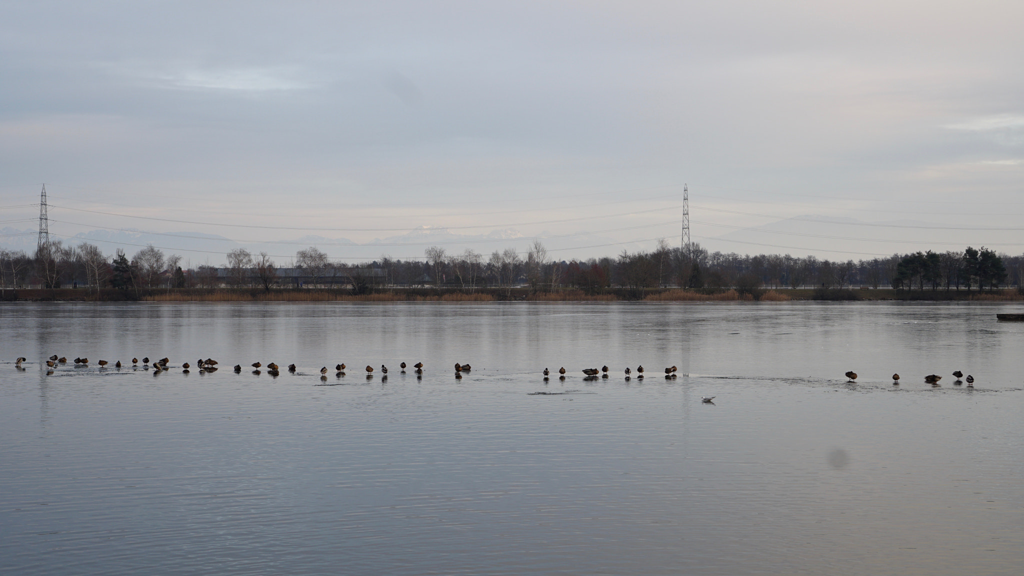 Sony a6500 + Sony E 35mm F1.8 OSS sample photo. Frozen lake photography