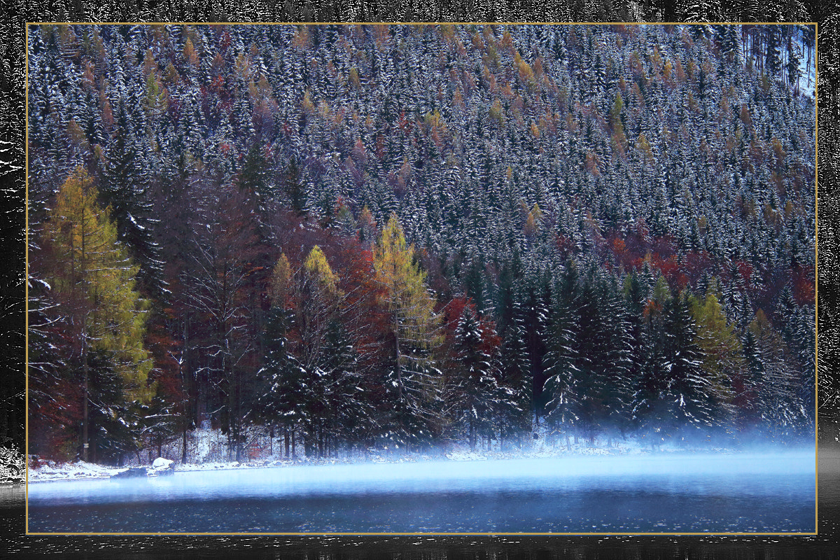 Canon EOS 650D (EOS Rebel T4i / EOS Kiss X6i) sample photo. First frost photography