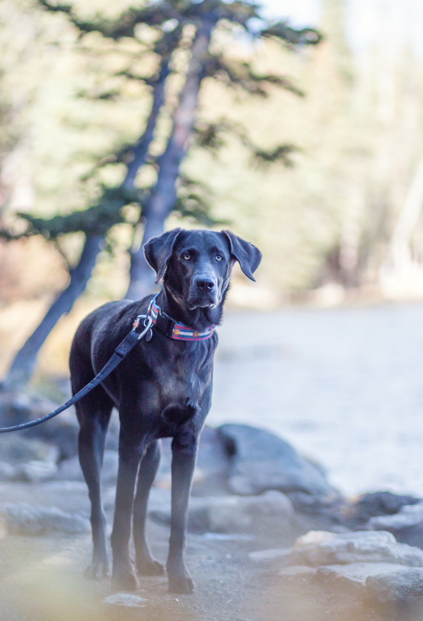 Canon EF 85mm F1.8 USM sample photo. 8478.jpg photography