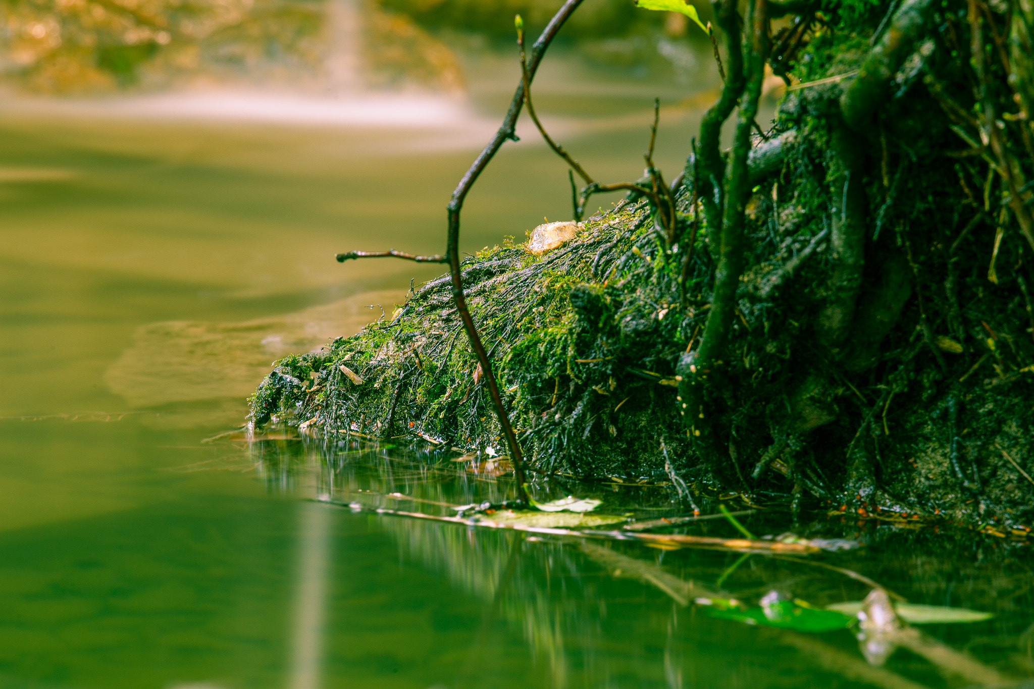 Canon EOS-1D Mark IV sample photo. Oberboihingen photography