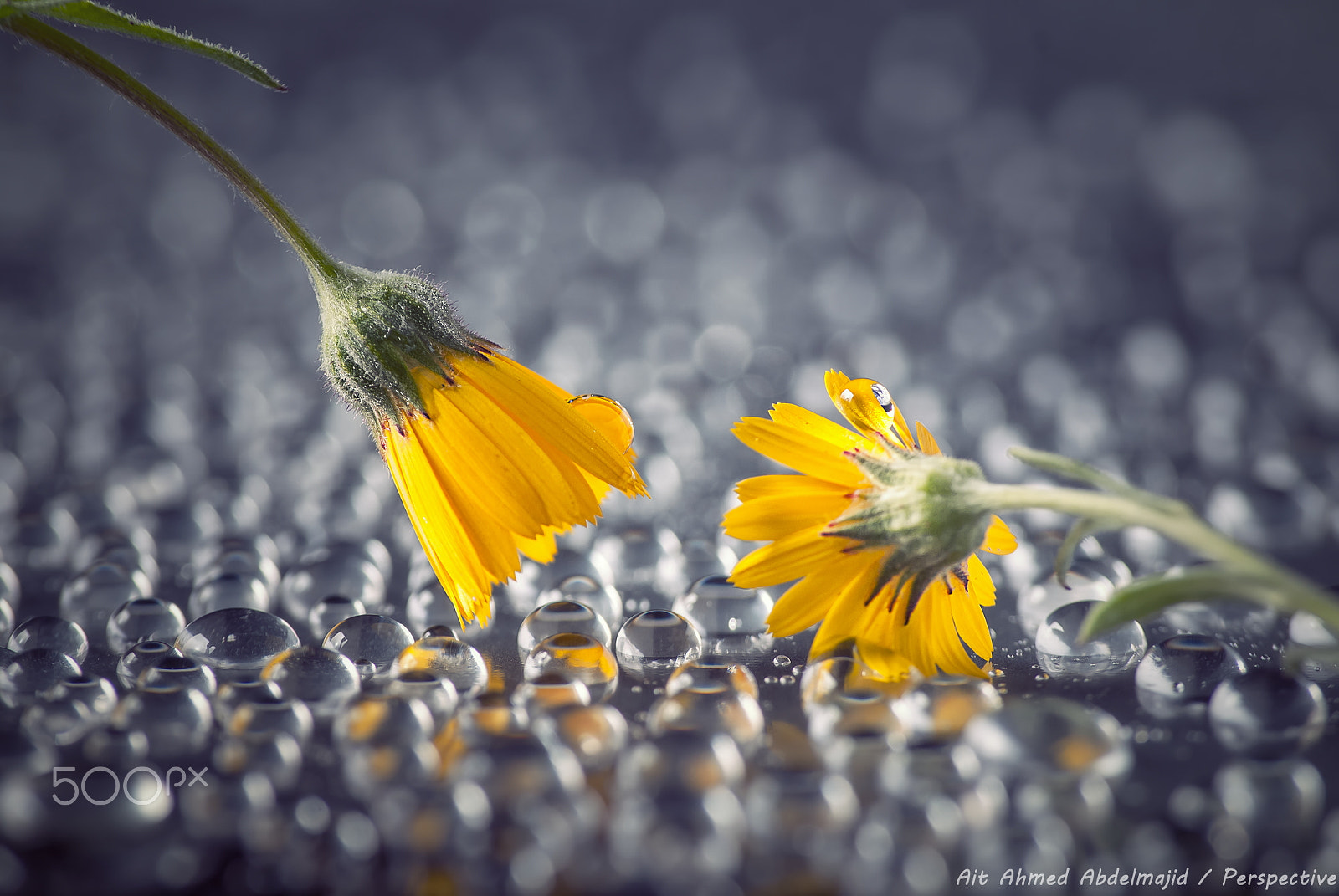Nikon D200 sample photo. Tell me about yourself..!! photography