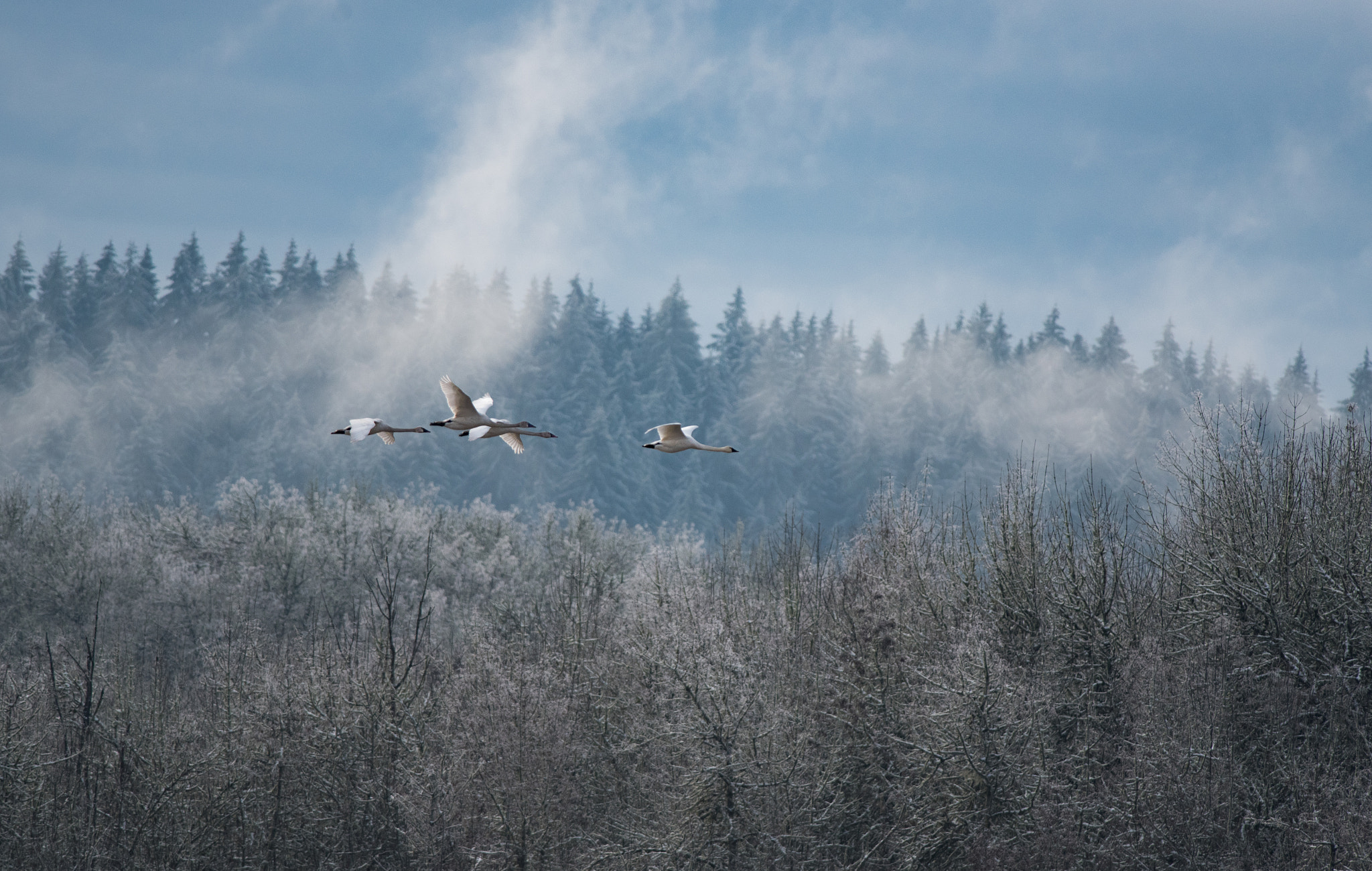 Nikon D750 + Nikon AF-S Nikkor 300mm F4D ED-IF sample photo. Winter travel photography