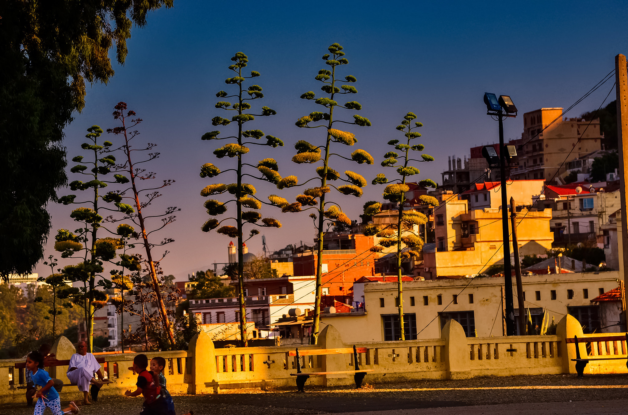 Nikon AF-S Nikkor 24-120mm F4G ED VR sample photo. Notre dame d'afrique view photography