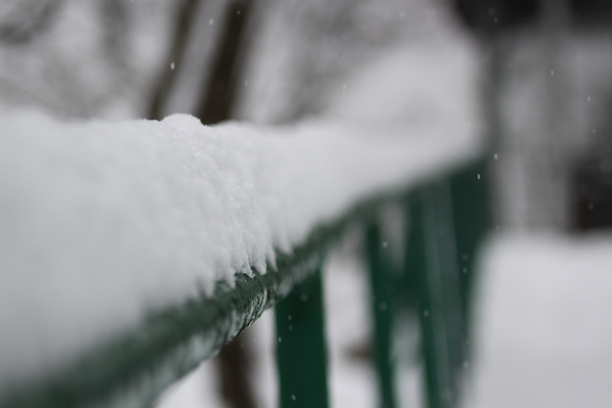 Canon EF 75-300mm f/4-5.6 USM sample photo. Img photography