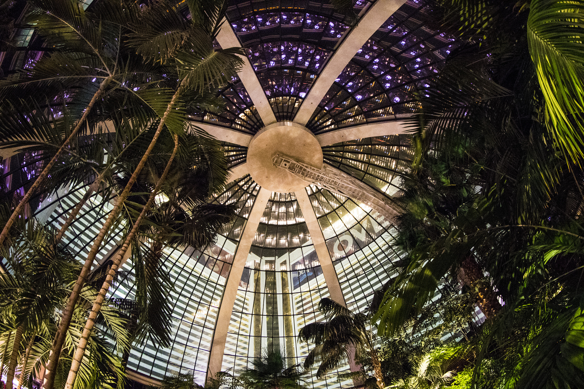 Canon EF 8-15mm F4L Fisheye USM sample photo. Las vegas photography