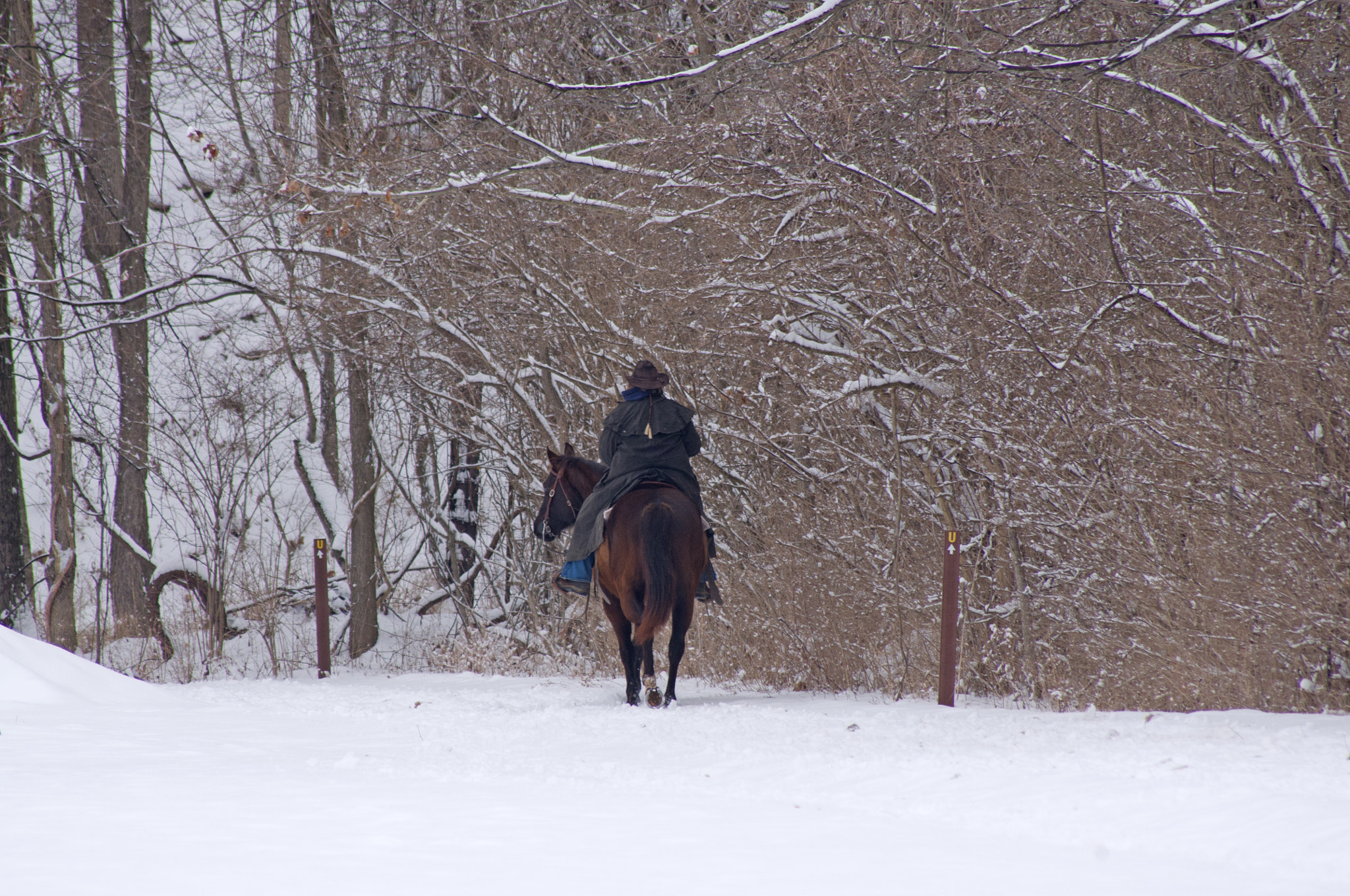 Pentax K-x + Sigma sample photo. Lone rider photography