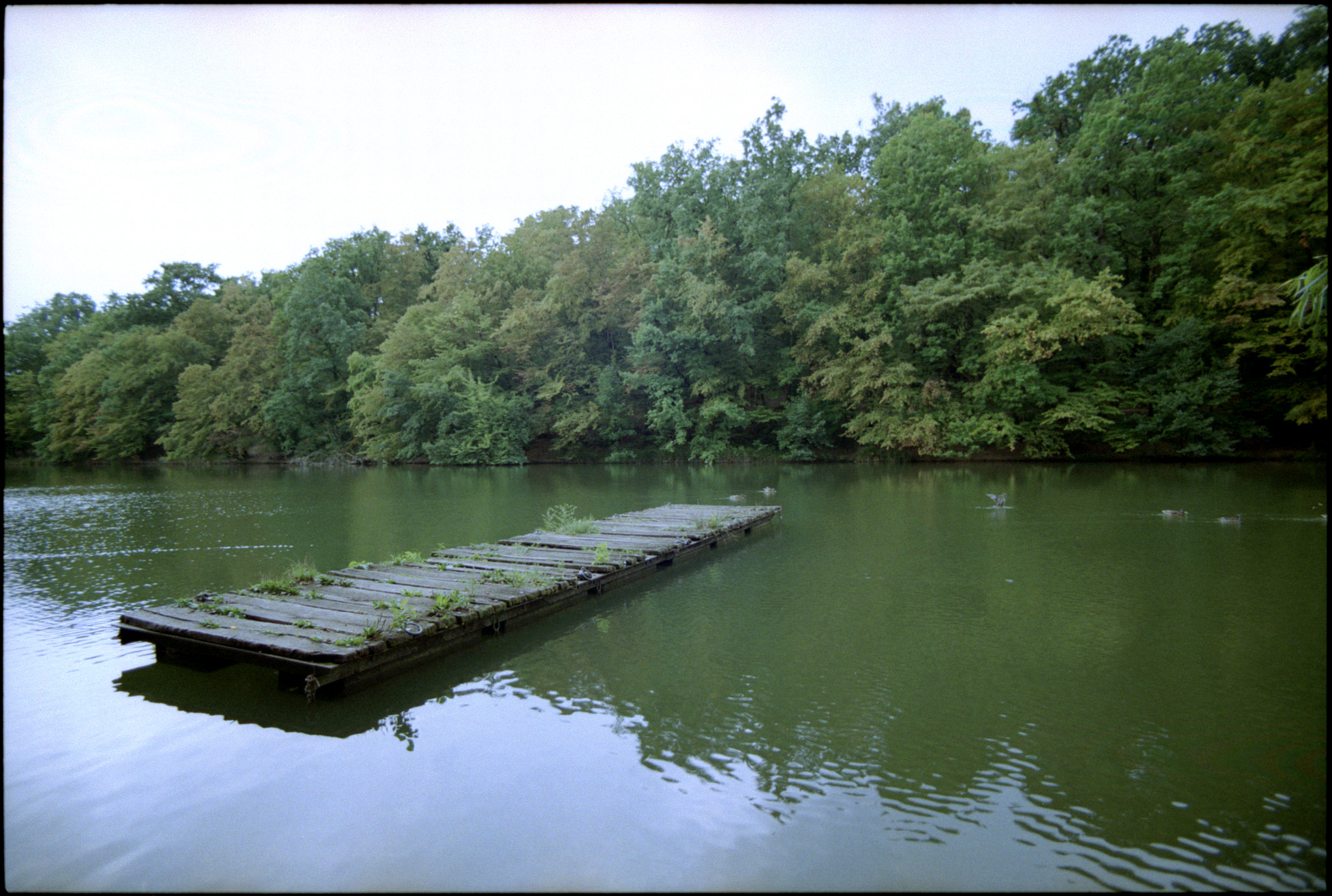 Pentax MZ-S sample photo. Cloudy weather at maksimir park photography