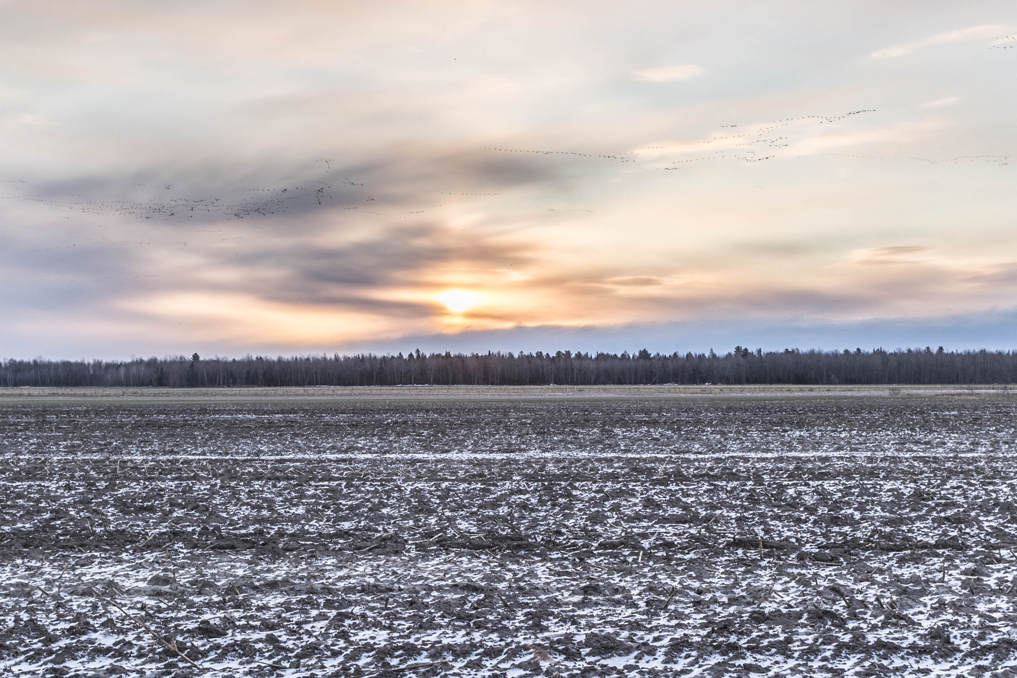 Canon EOS 760D (EOS Rebel T6s / EOS 8000D) sample photo. Levée de ciel photography