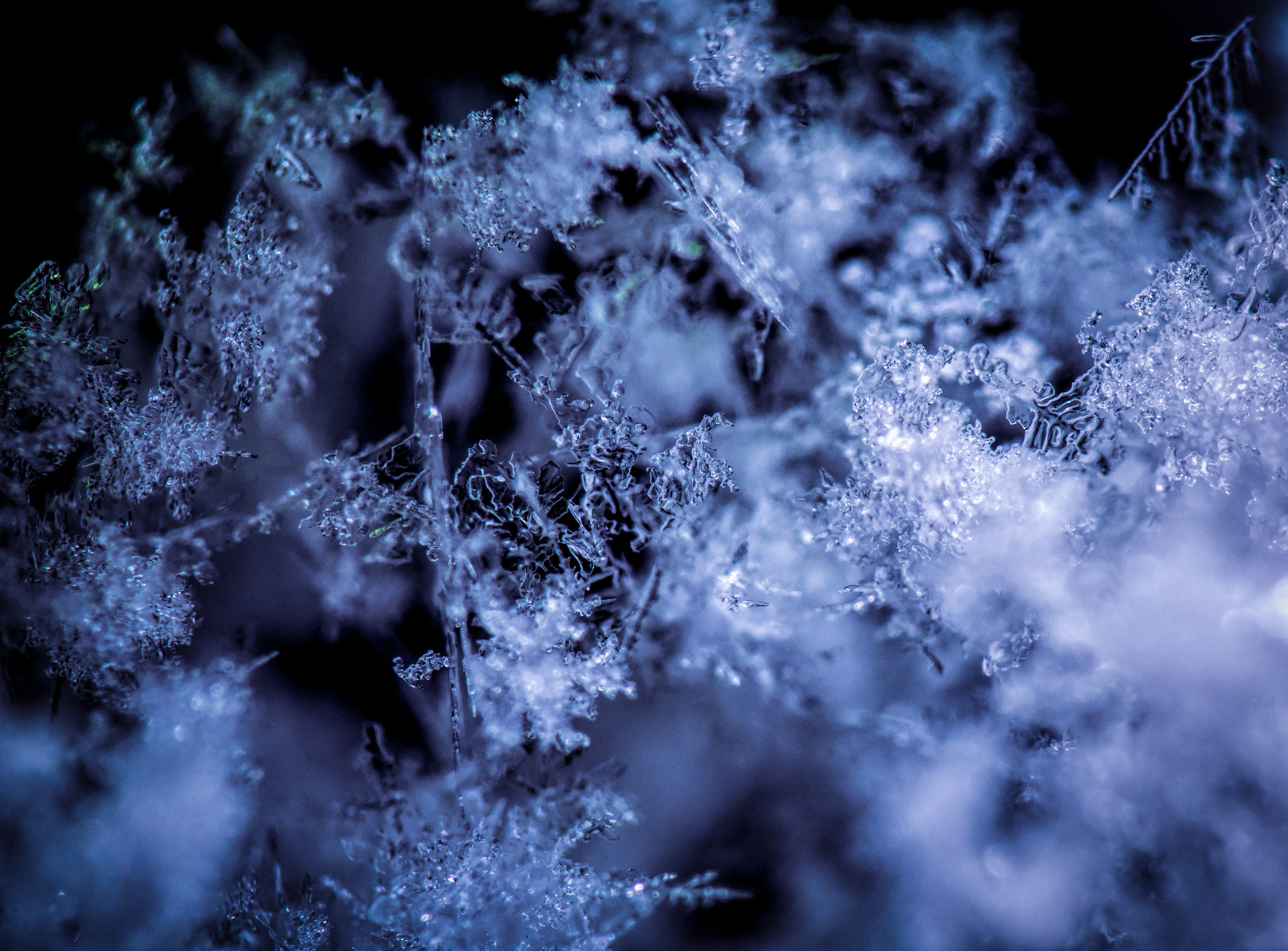 Nikon D7200 + Tamron SP 90mm F2.8 Di VC USD 1:1 Macro (F004) sample photo. Snow flakes photography