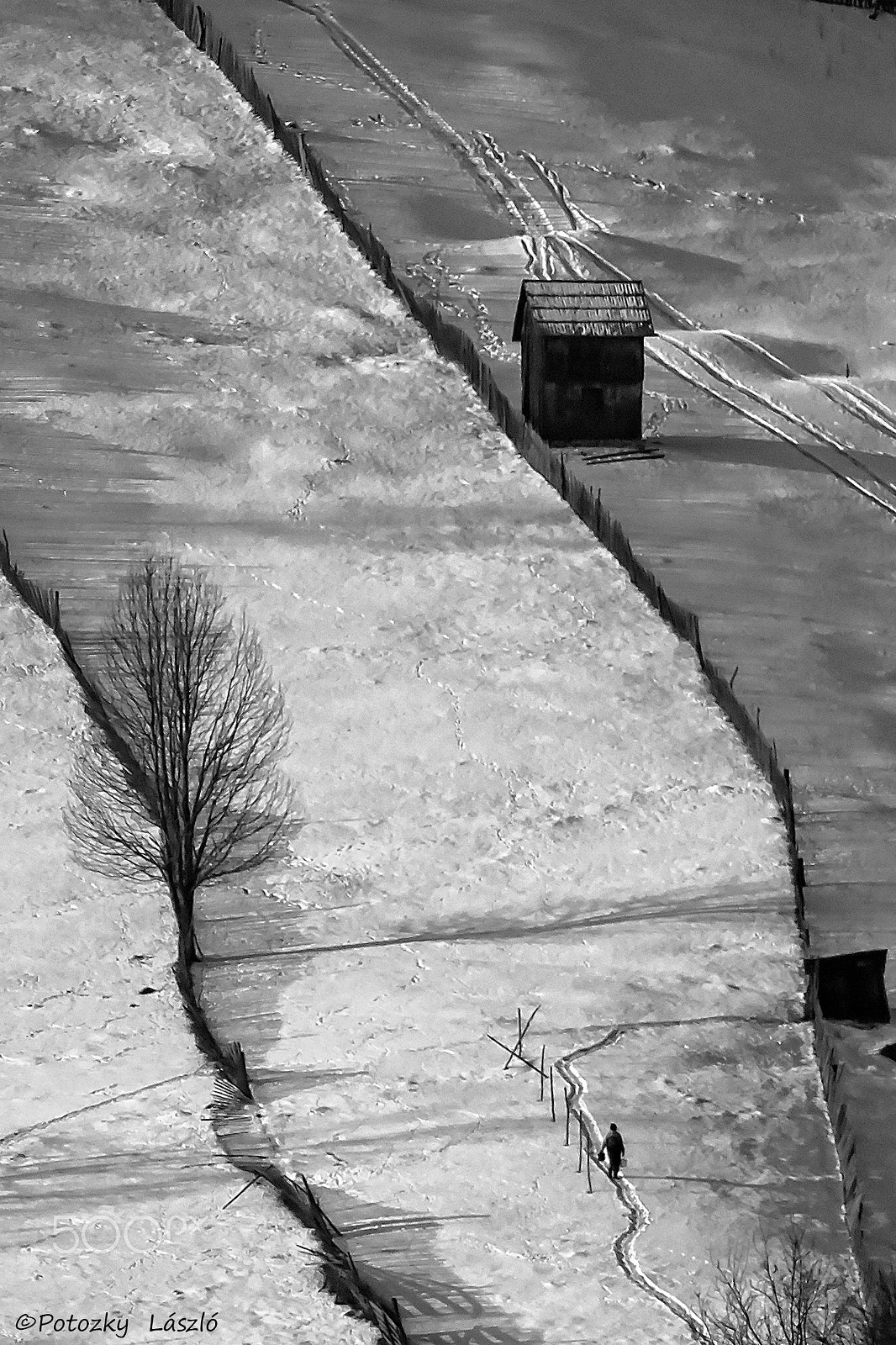 Olympus OM-D E-M1 + OLYMPUS M.300mm F4.0 sample photo. Winter in bw photography