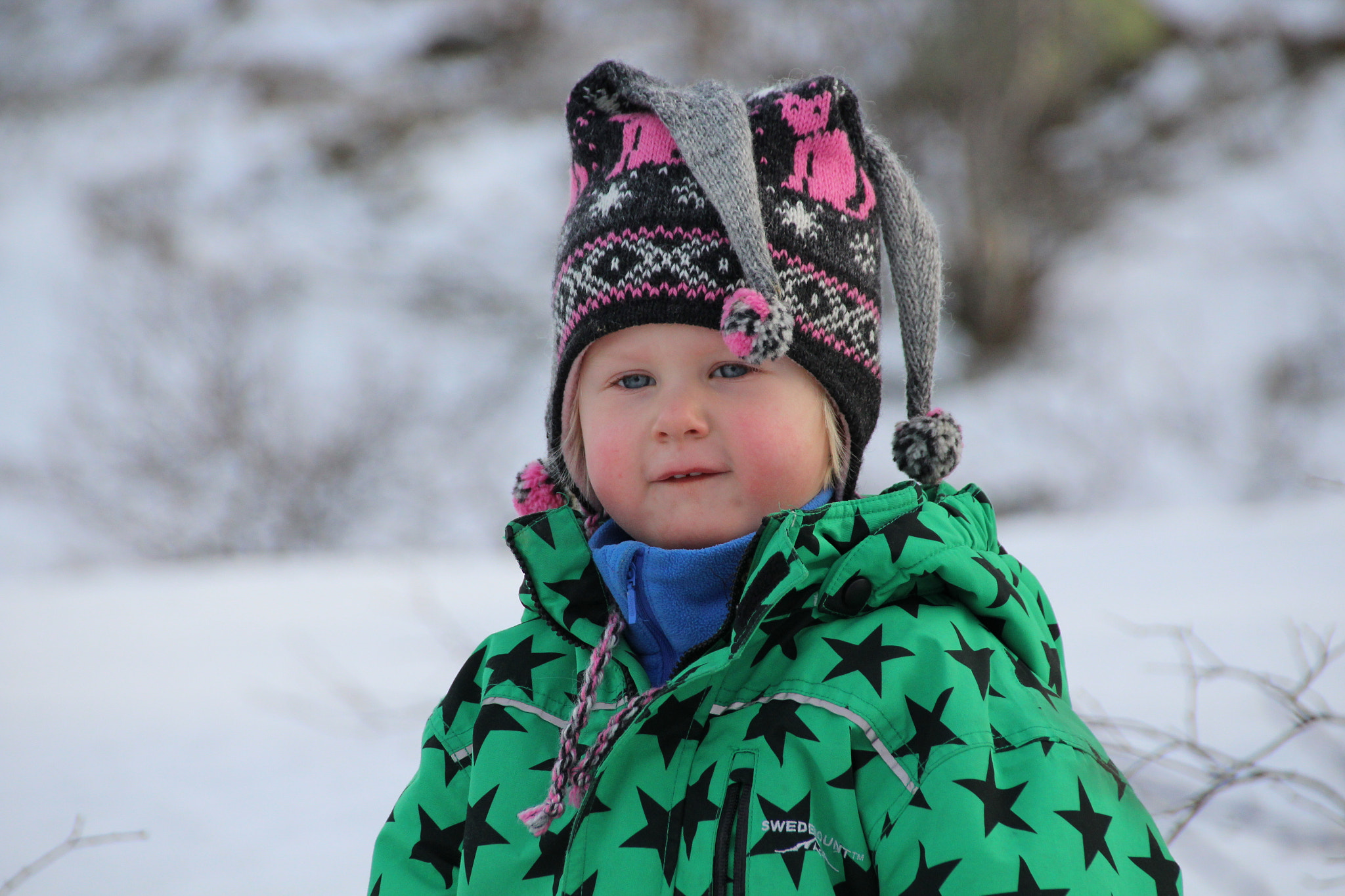 Sigma 18-250mm F3.5-6.3 DC OS HSM sample photo. 3 years old photography