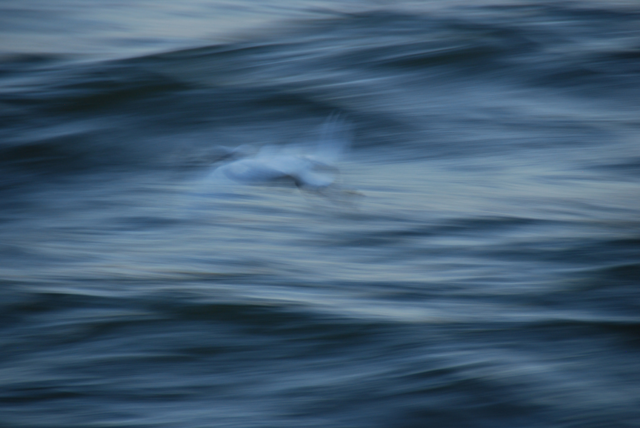 Nikon D80 sample photo