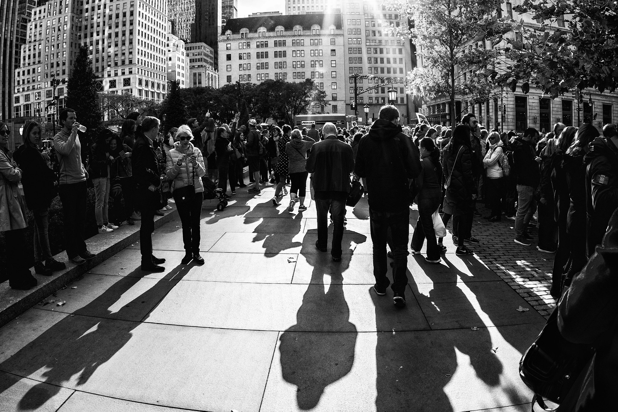 Canon EOS 7D Mark II + Canon EF 8-15mm F4L Fisheye USM sample photo. Newyork shadows photography