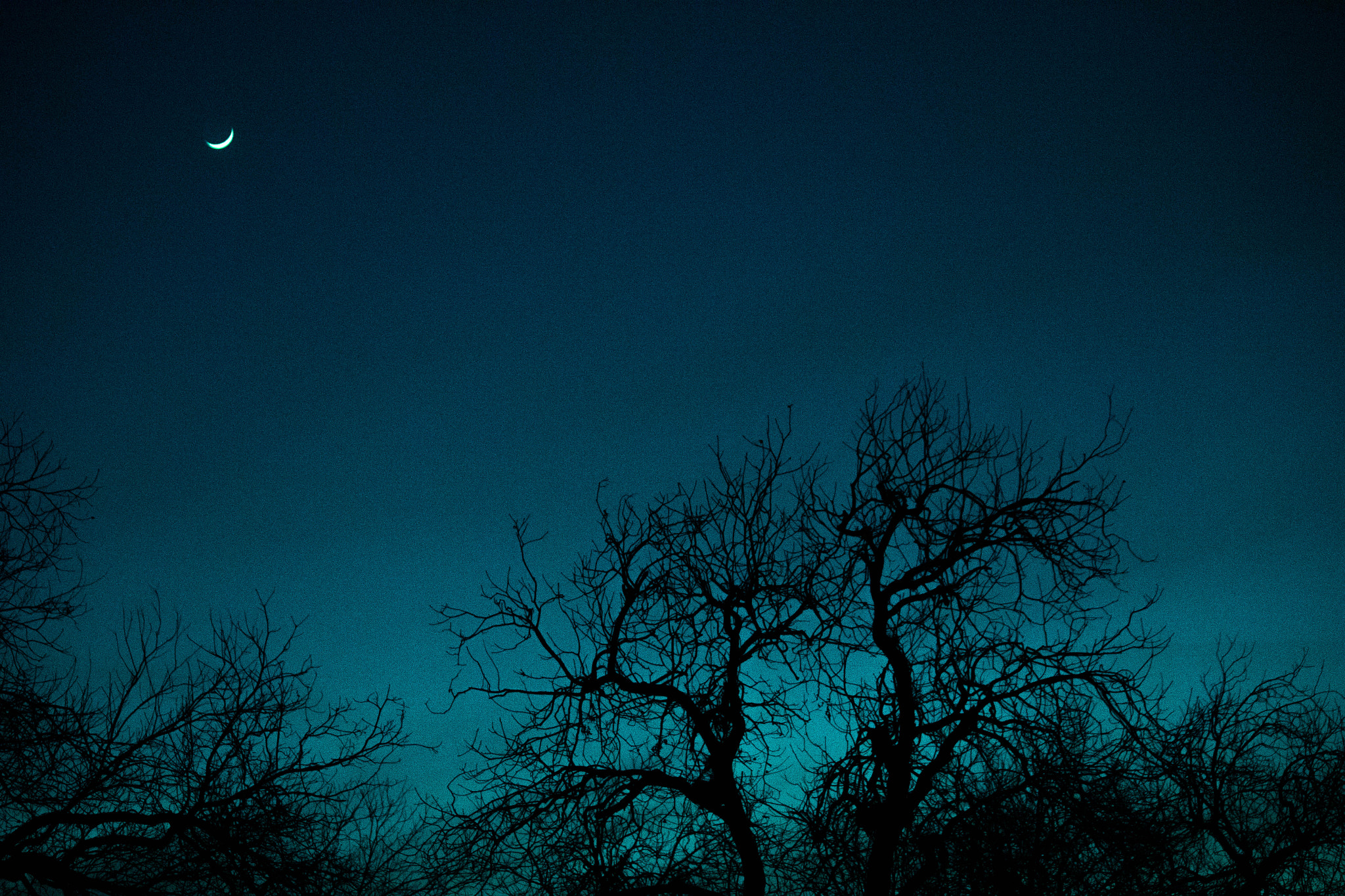 Canon EF-S 55-250mm F4-5.6 IS sample photo. Amy-ellen george, 2017, new year moon photography