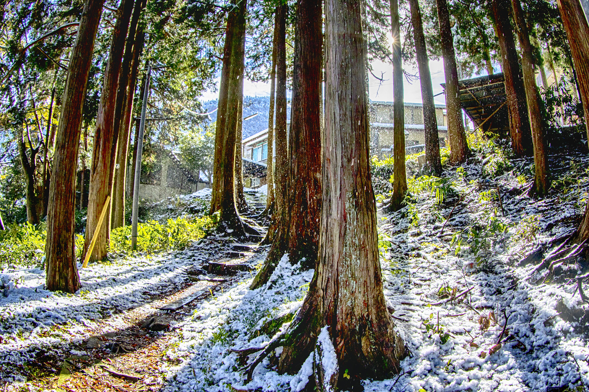 Canon EF 8-15mm F4L Fisheye USM sample photo. Hakone snow photography
