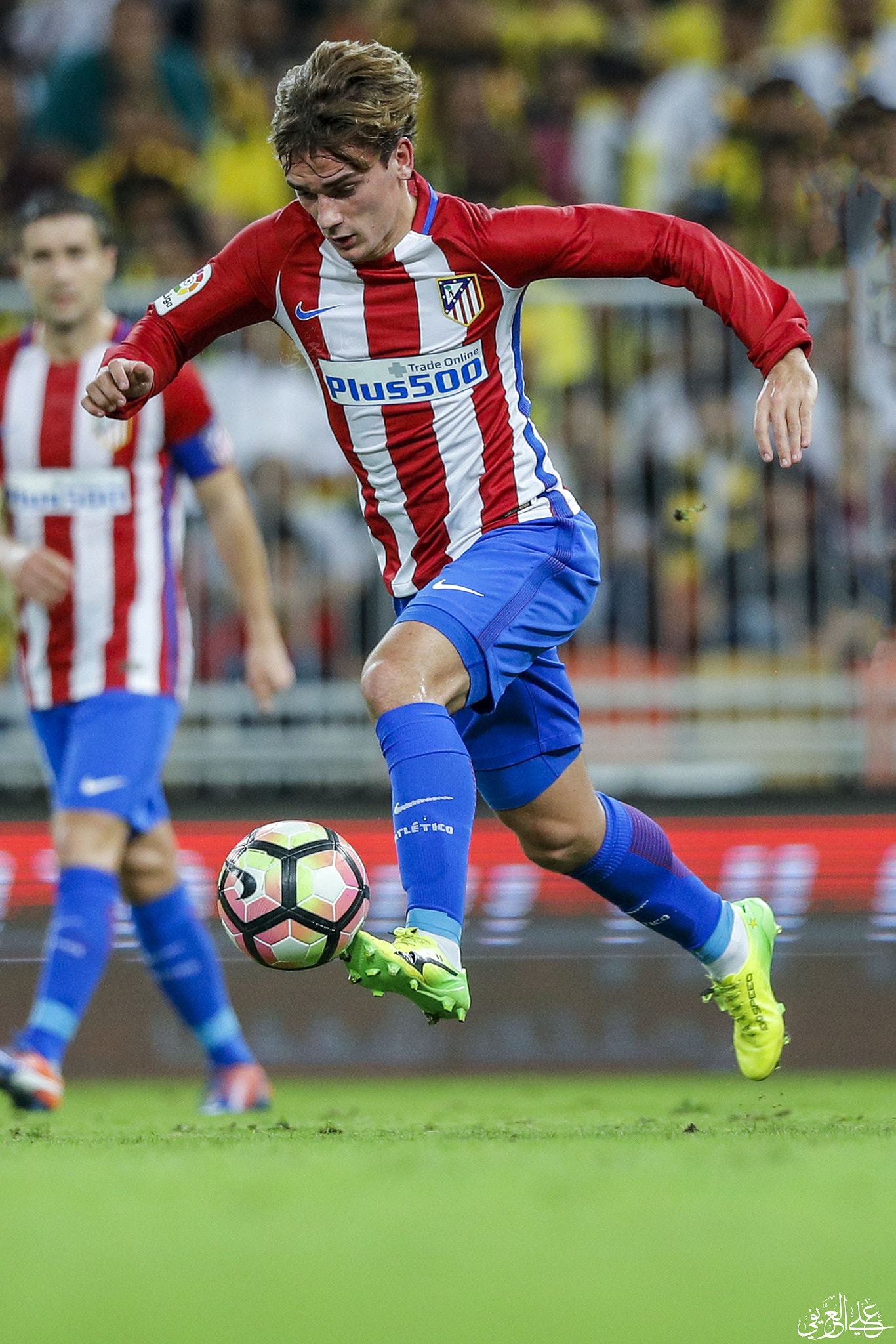 Canon EF 300mm F2.8L IS II USM sample photo. Antogriezmann photography