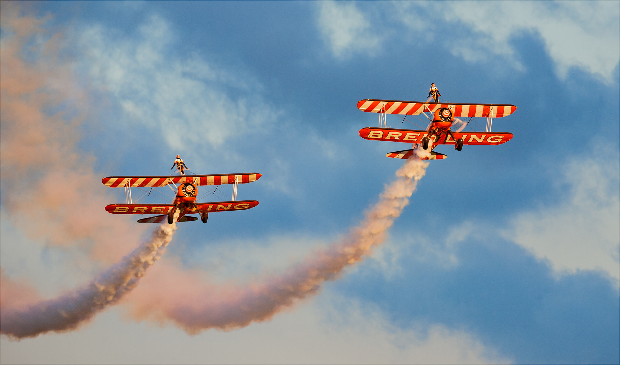 Canon EF 500mm F4L IS USM sample photo. Evening flight. photography