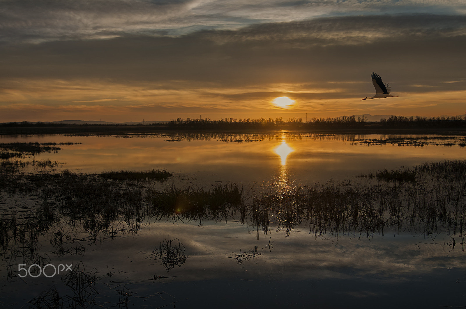 Tokina AT-X Pro 12-24mm F4 (IF) DX sample photo. Vol al capvespre photography