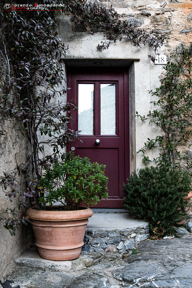 Canon EF 16-35mm F4L IS USM sample photo. Colored door 3 photography