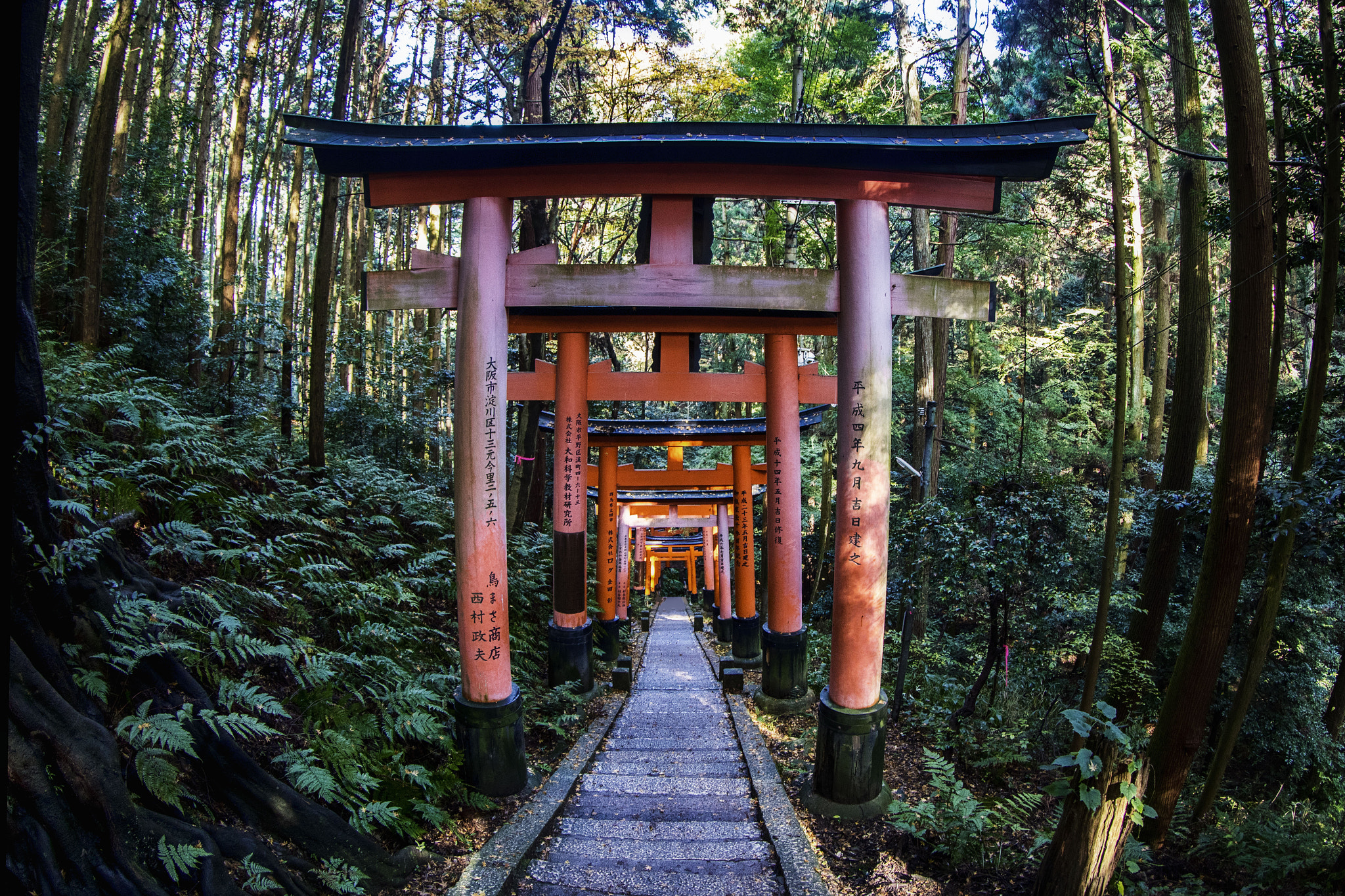 Canon EF 8-15mm F4L Fisheye USM sample photo. Japan photography