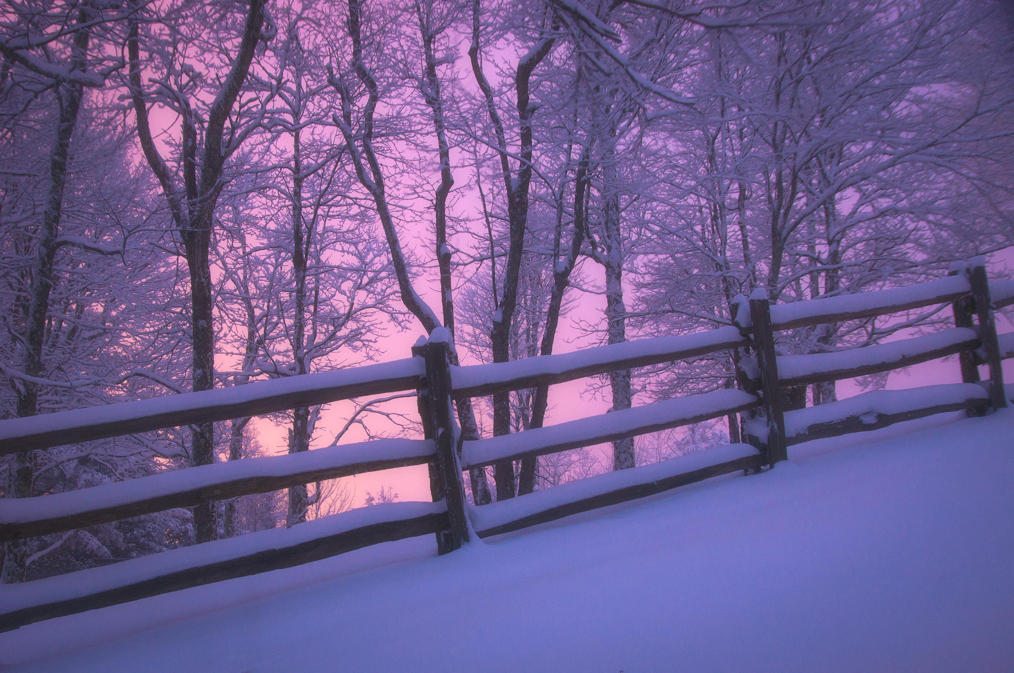 Sony SLT-A57 sample photo. Frozen glow photography