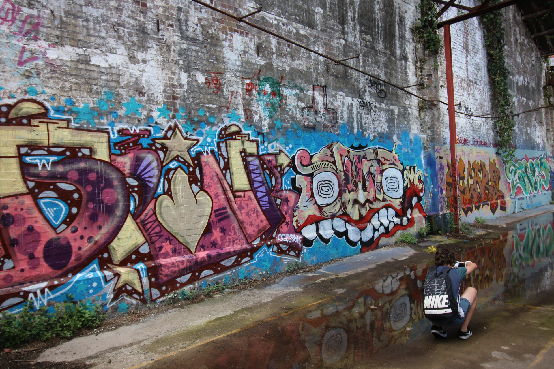 Canon EOS 750D (EOS Rebel T6i / EOS Kiss X8i) sample photo. Newtown , sydney photography