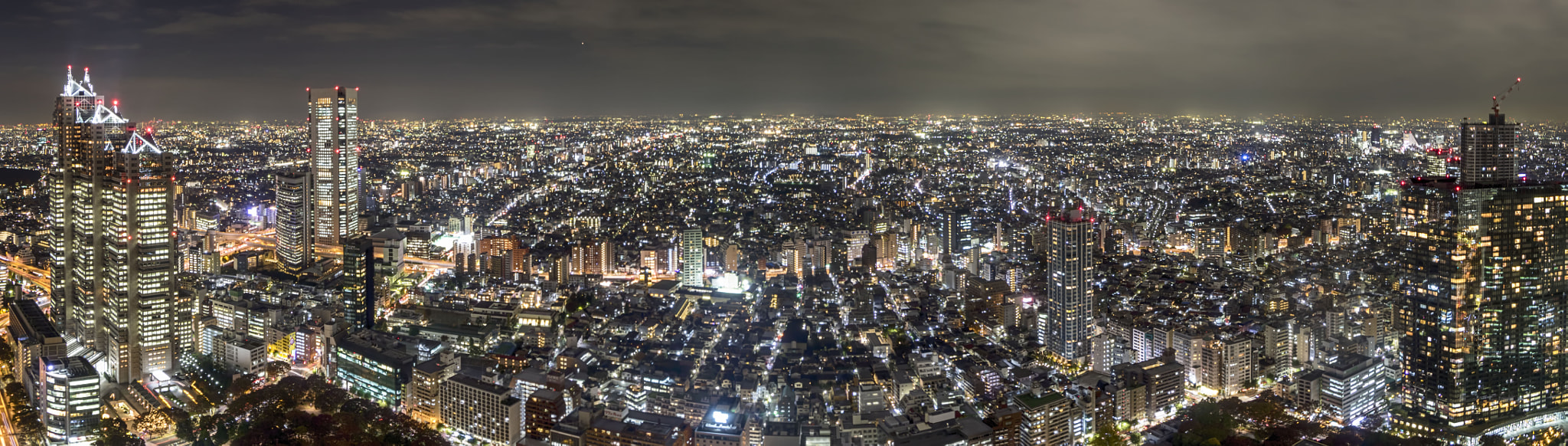 Canon EF 8-15mm F4L Fisheye USM sample photo. Tokyo skyline photography