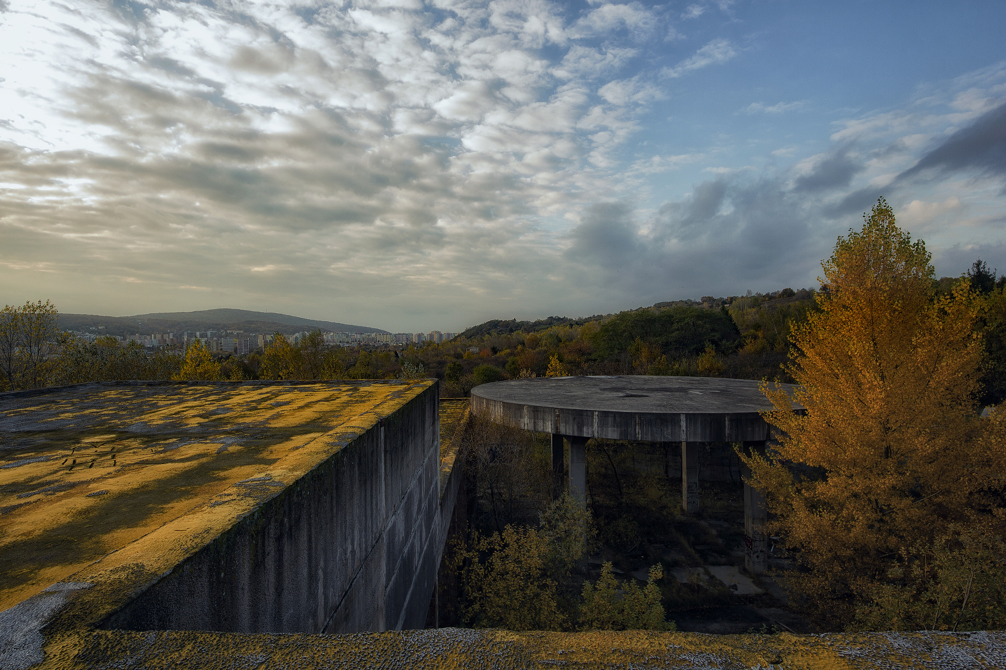 Sigma 8-16mm F4.5-5.6 DC HSM sample photo. Now entering the hive photography