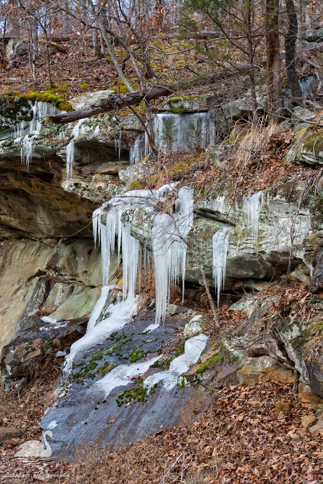 Nikon D5200 sample photo. Thawing photography