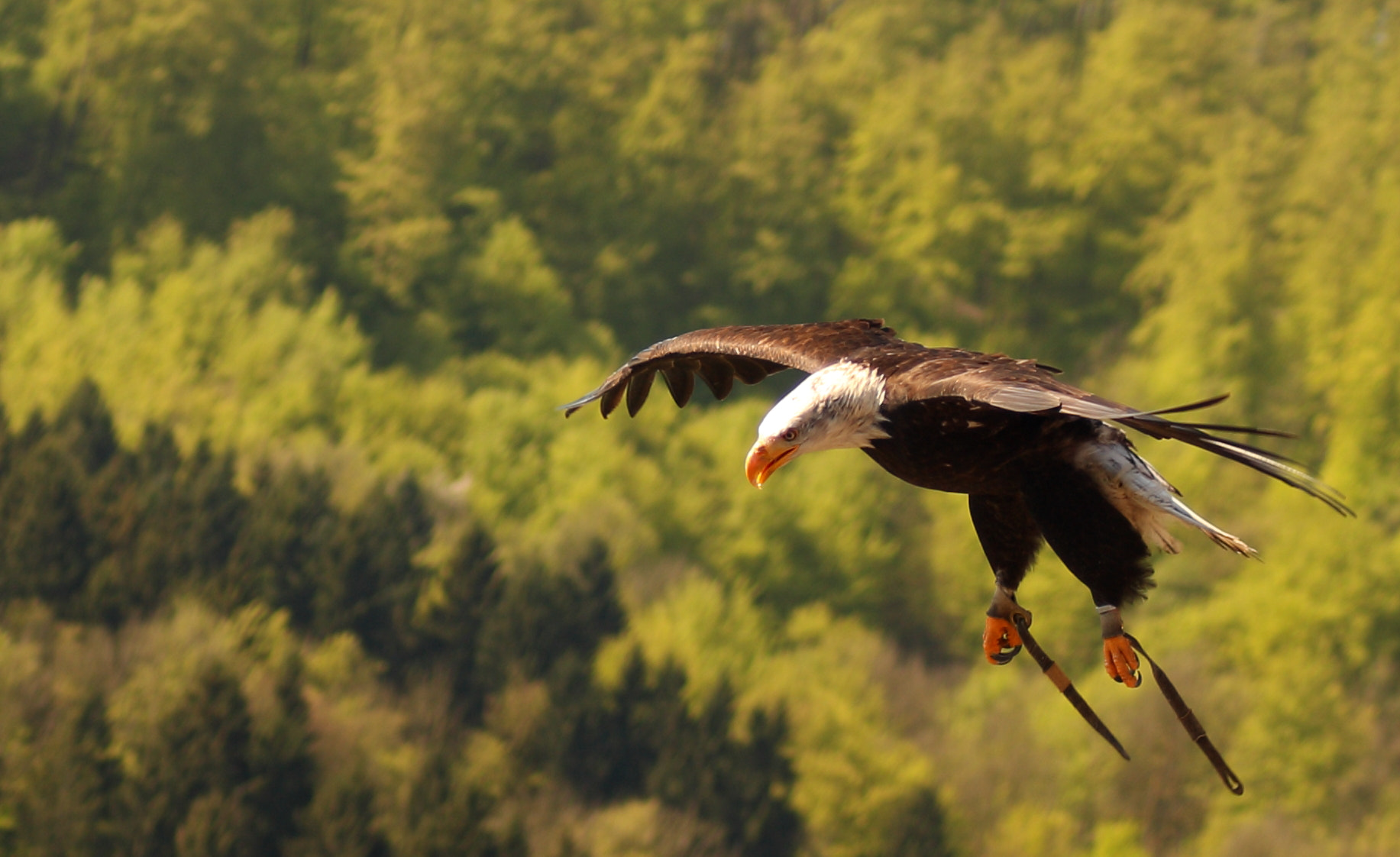 Canon EOS 1000D (EOS Digital Rebel XS / EOS Kiss F) + Canon EF 70-210mm f/4 sample photo. Seeadler photography