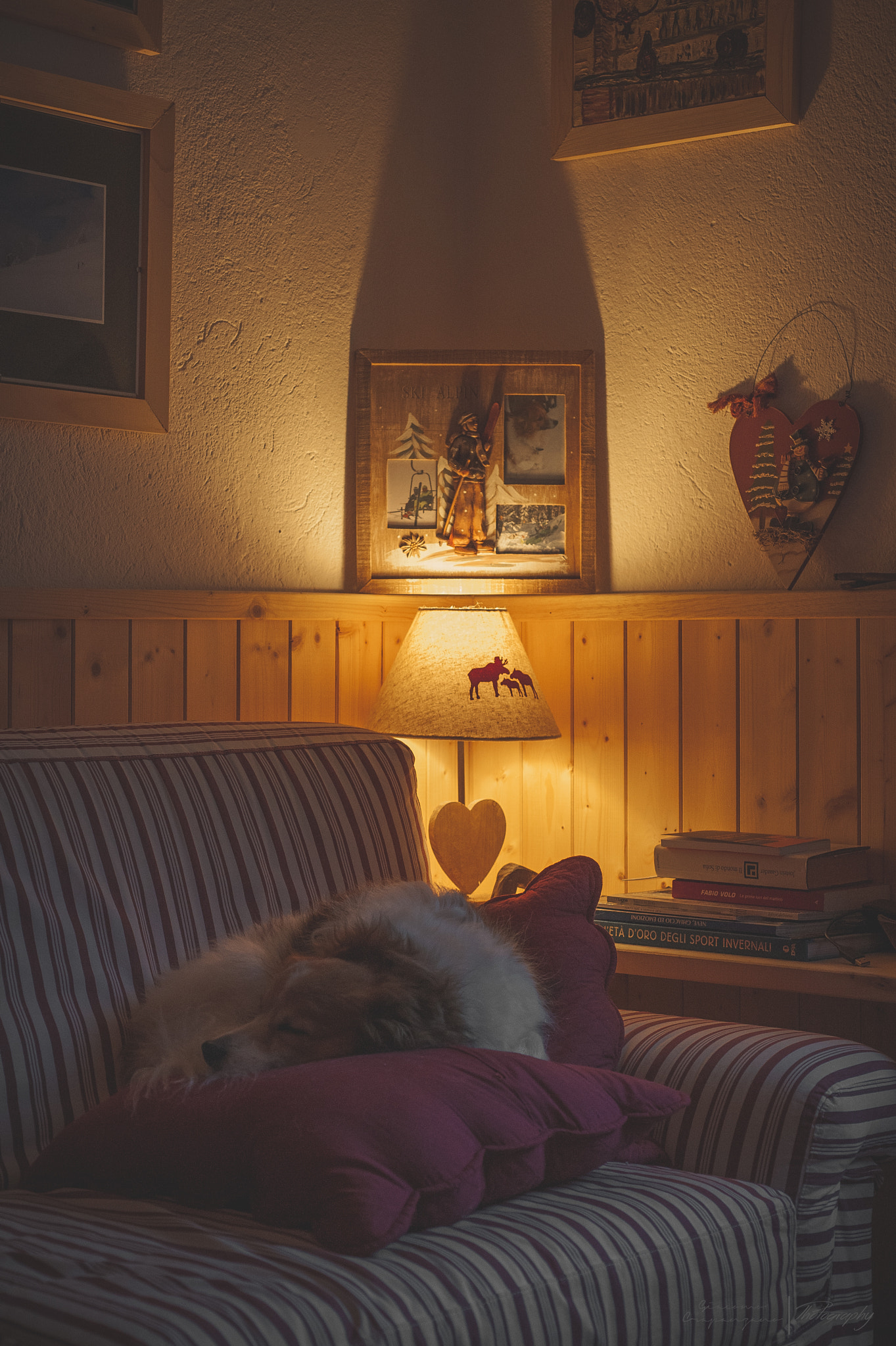 Nikon AF Micro-Nikkor 60mm F2.8D sample photo. Brenda, my old lady. photography
