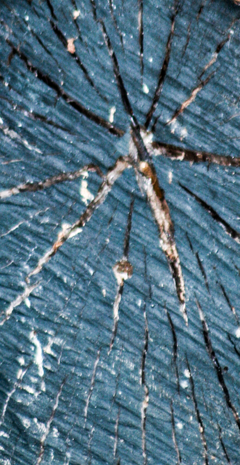 Canon EF 75-300mm f/4-5.6 USM sample photo. Abstract photography