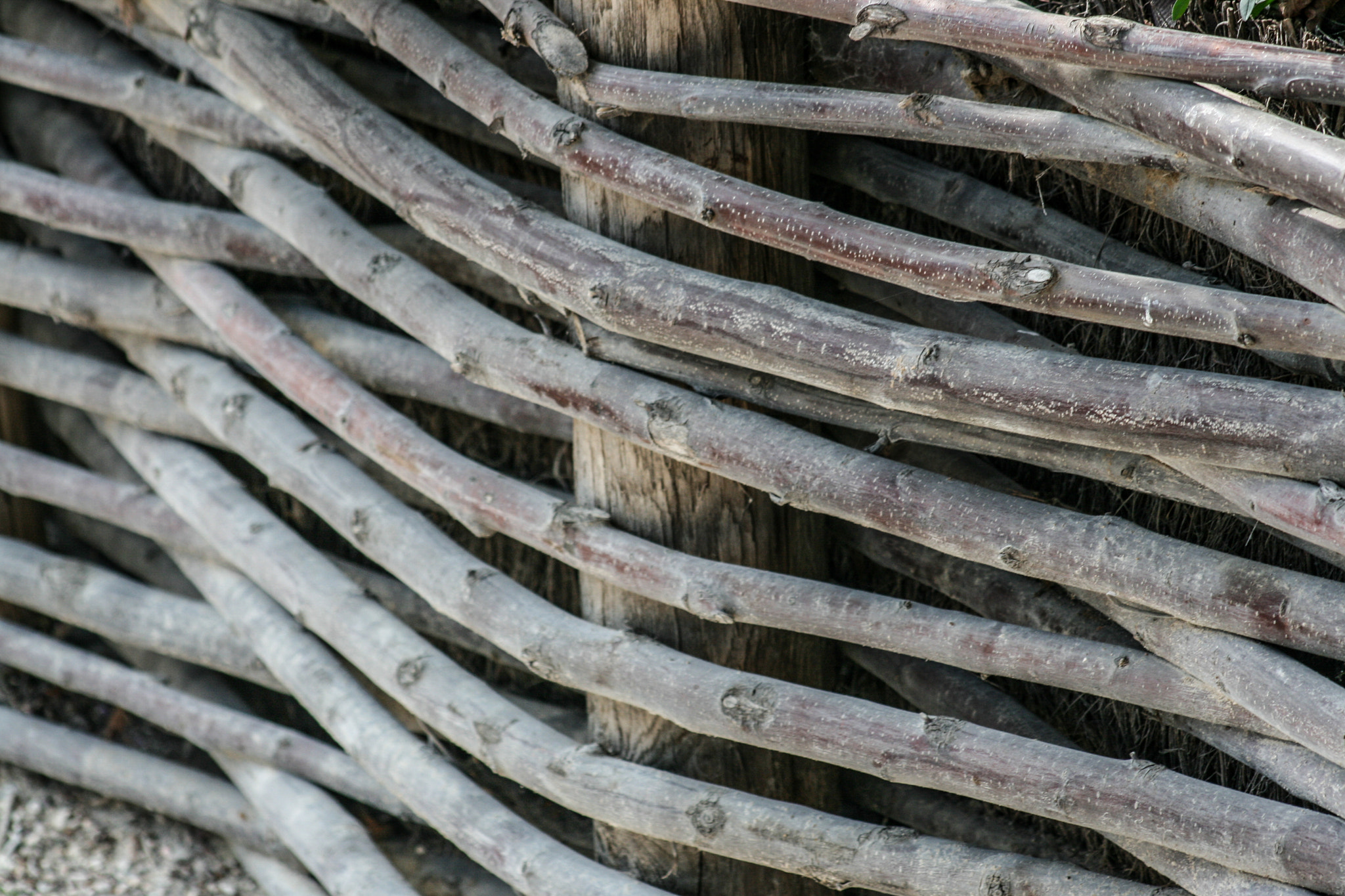 Canon EF 75-300mm f/4-5.6 USM sample photo. Abstract photography
