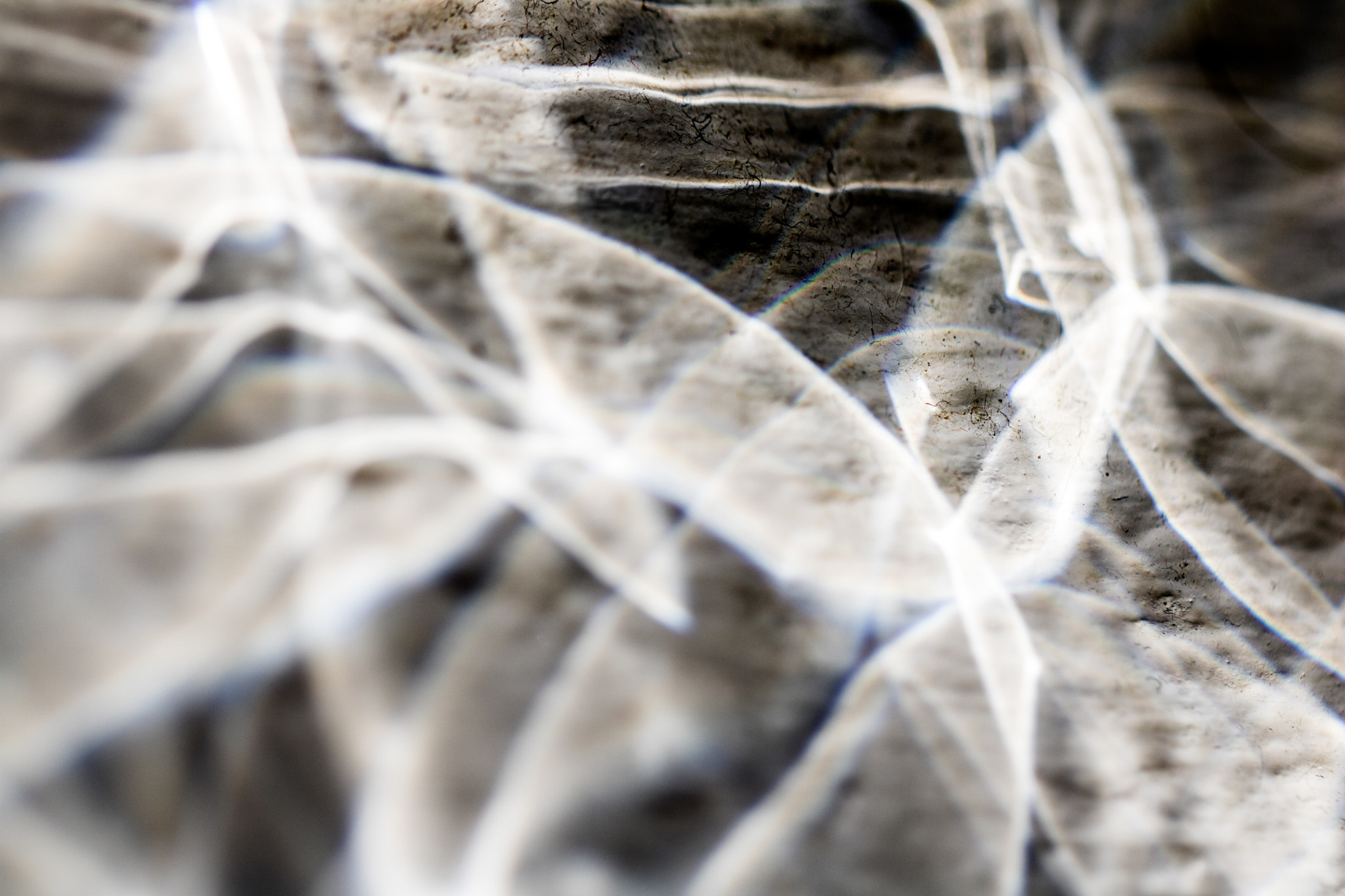 Canon EOS 760D (EOS Rebel T6s / EOS 8000D) sample photo. Abstract photography