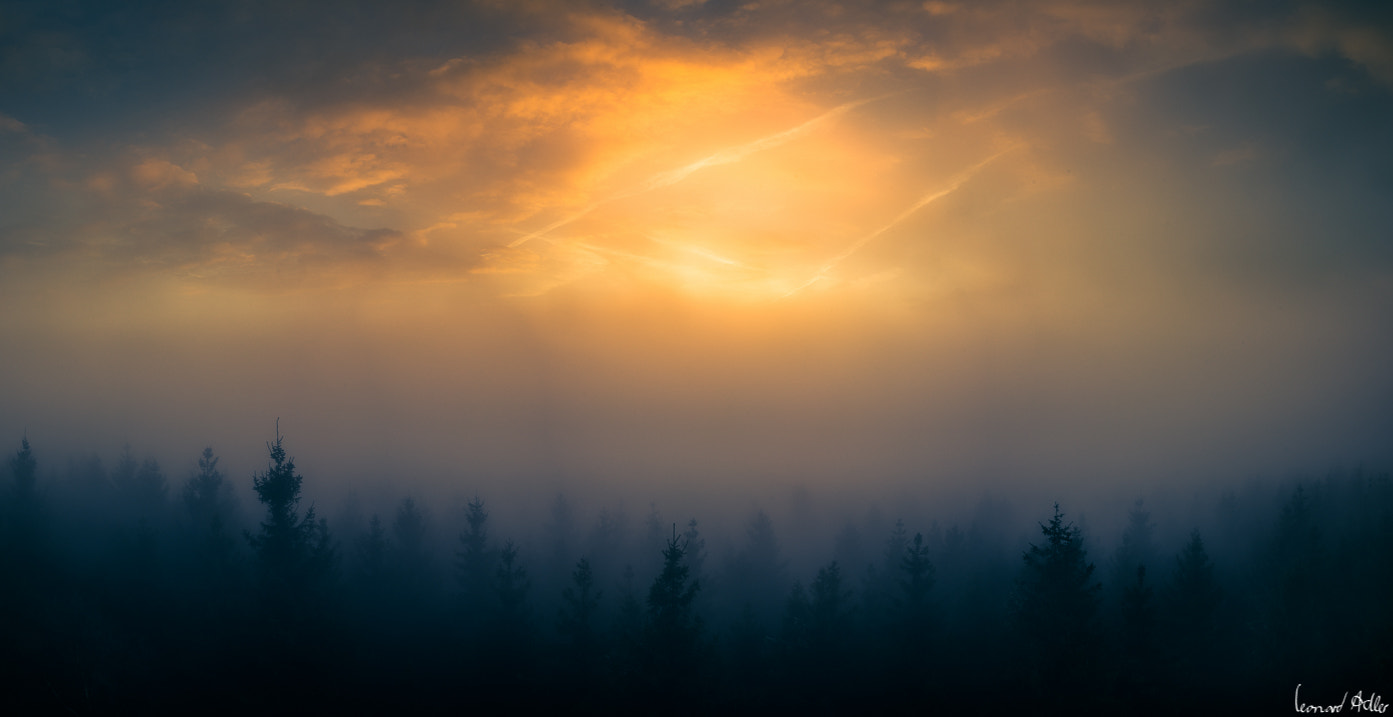 Nikon D600 sample photo. Just above the fog photography