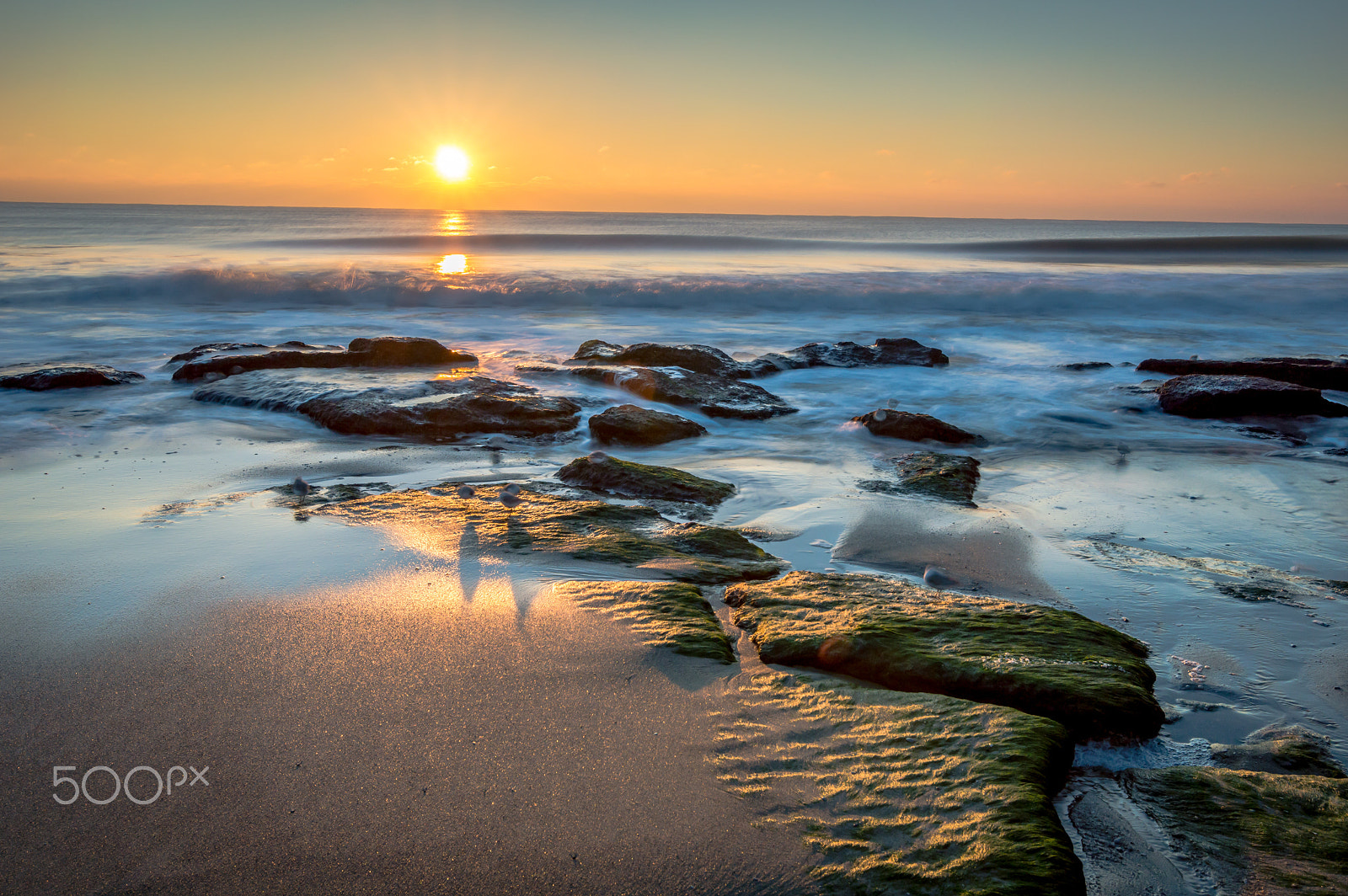 Nikon D3200 sample photo. Coquina rocks photography