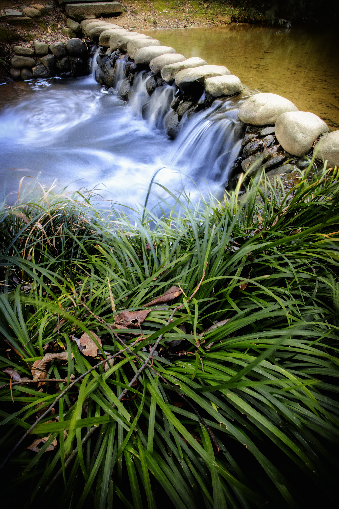 Sigma 14mm F4 sample photo